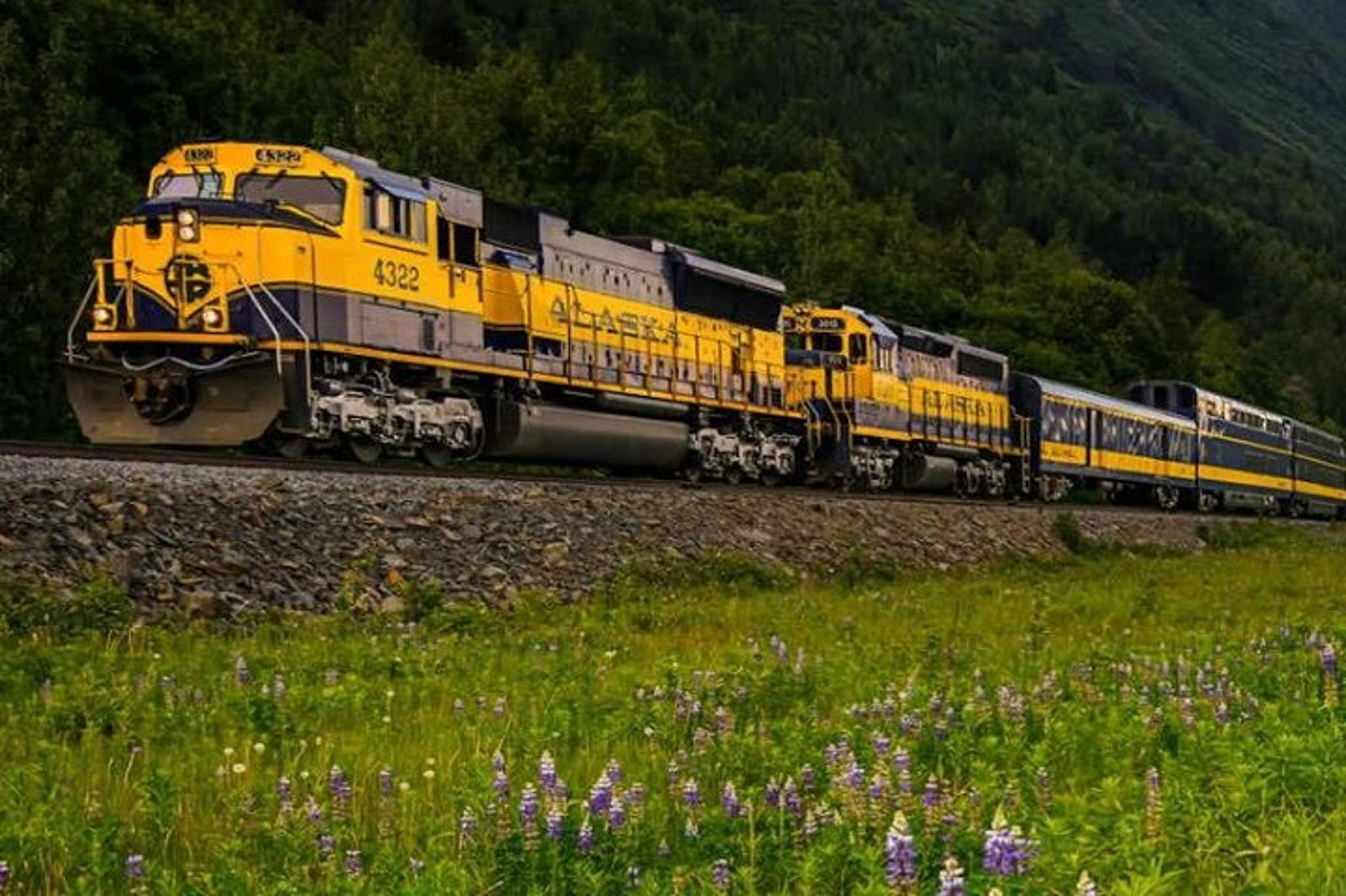 Anchorage to Denali Train Journey - Image 4
