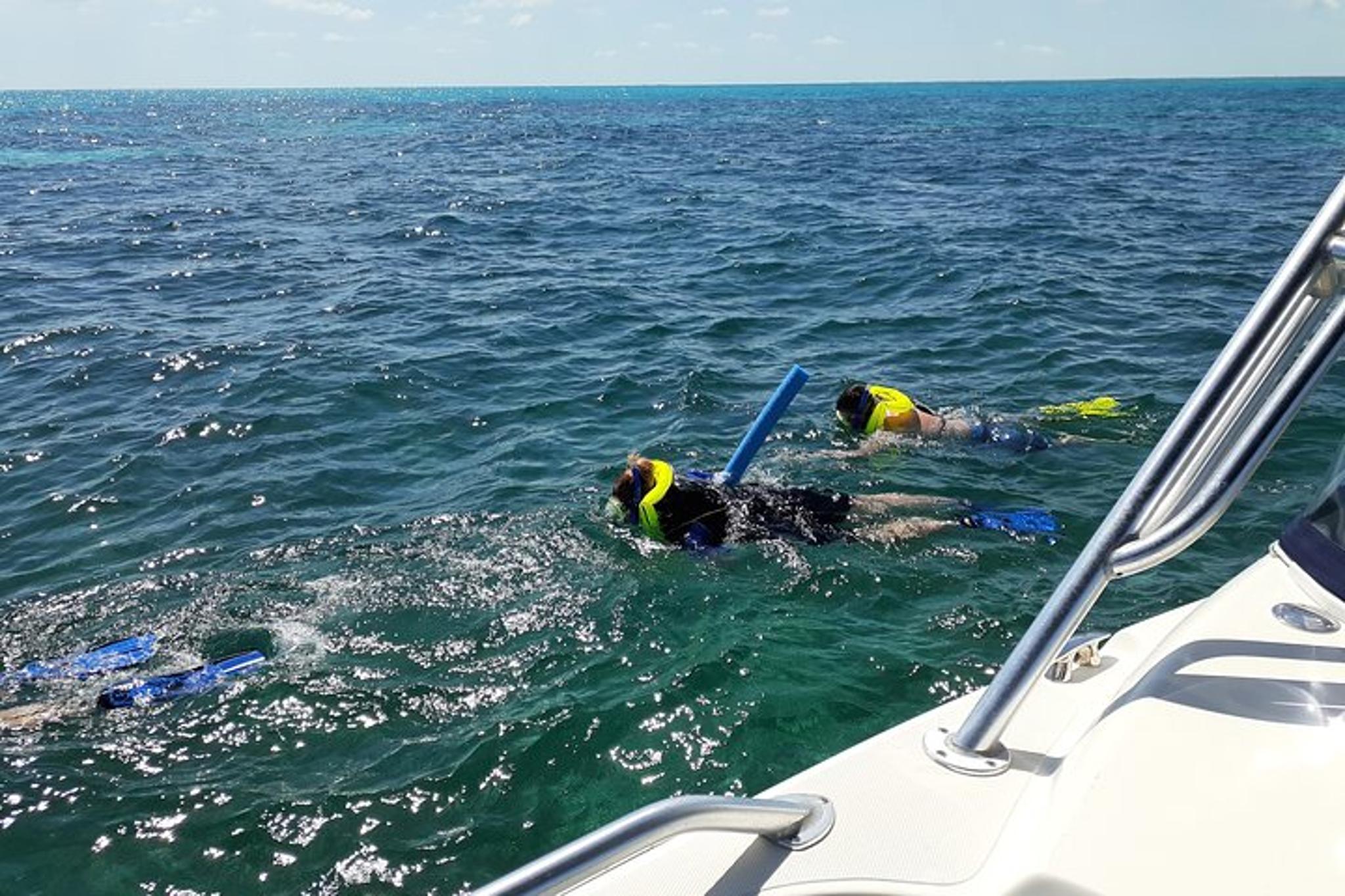 Key Largo Snorkel Tour at John Pennekamp Coral Reef - Image 2