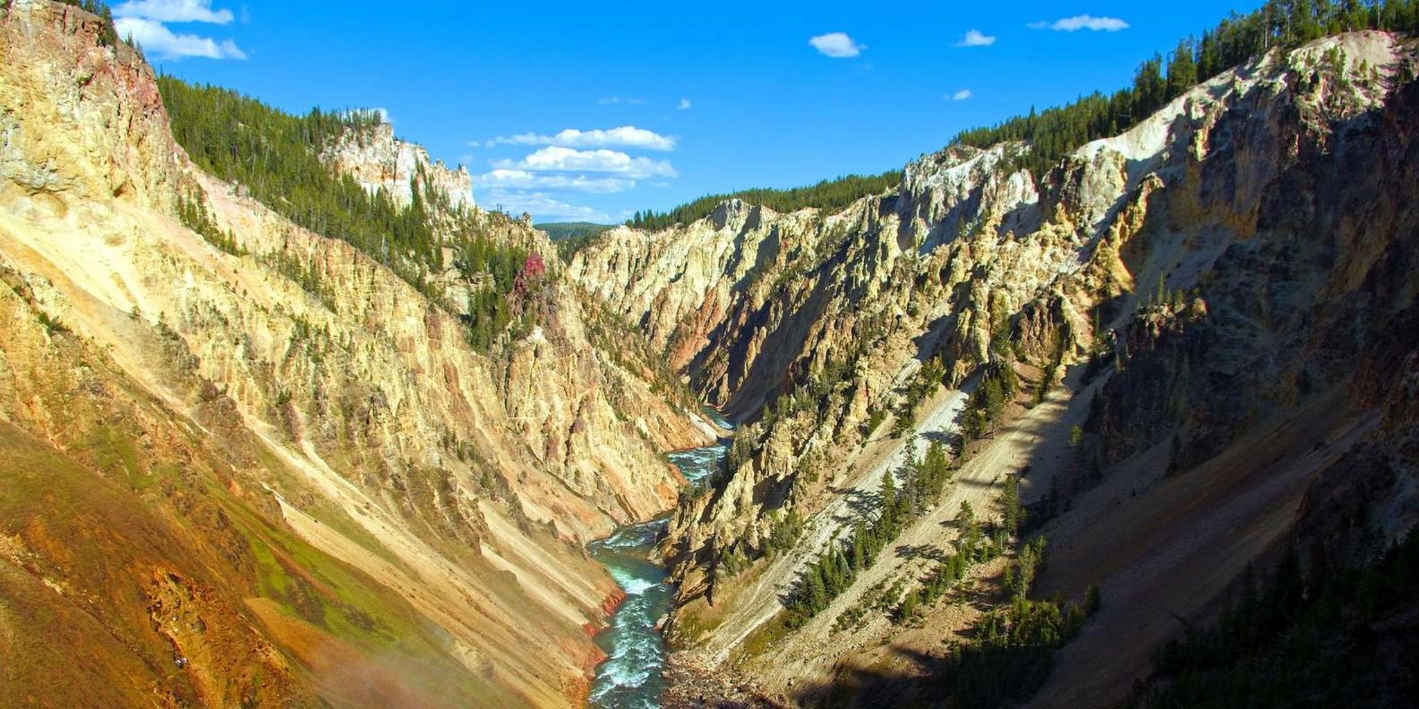 Yellowstone Lower Loop Day Tour from Jackson - Image 4