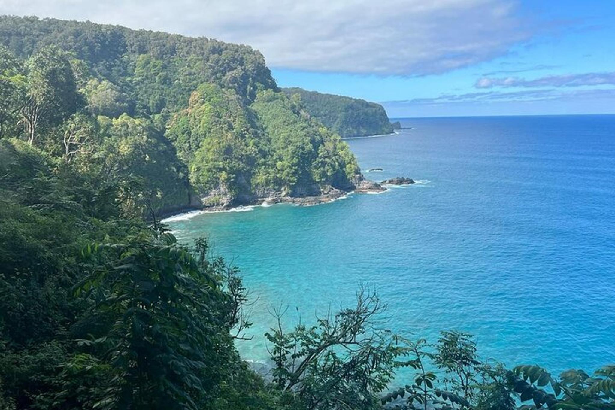 Maui Road to Hana Tour with Black Sand Beach and Waterfalls - Image 5