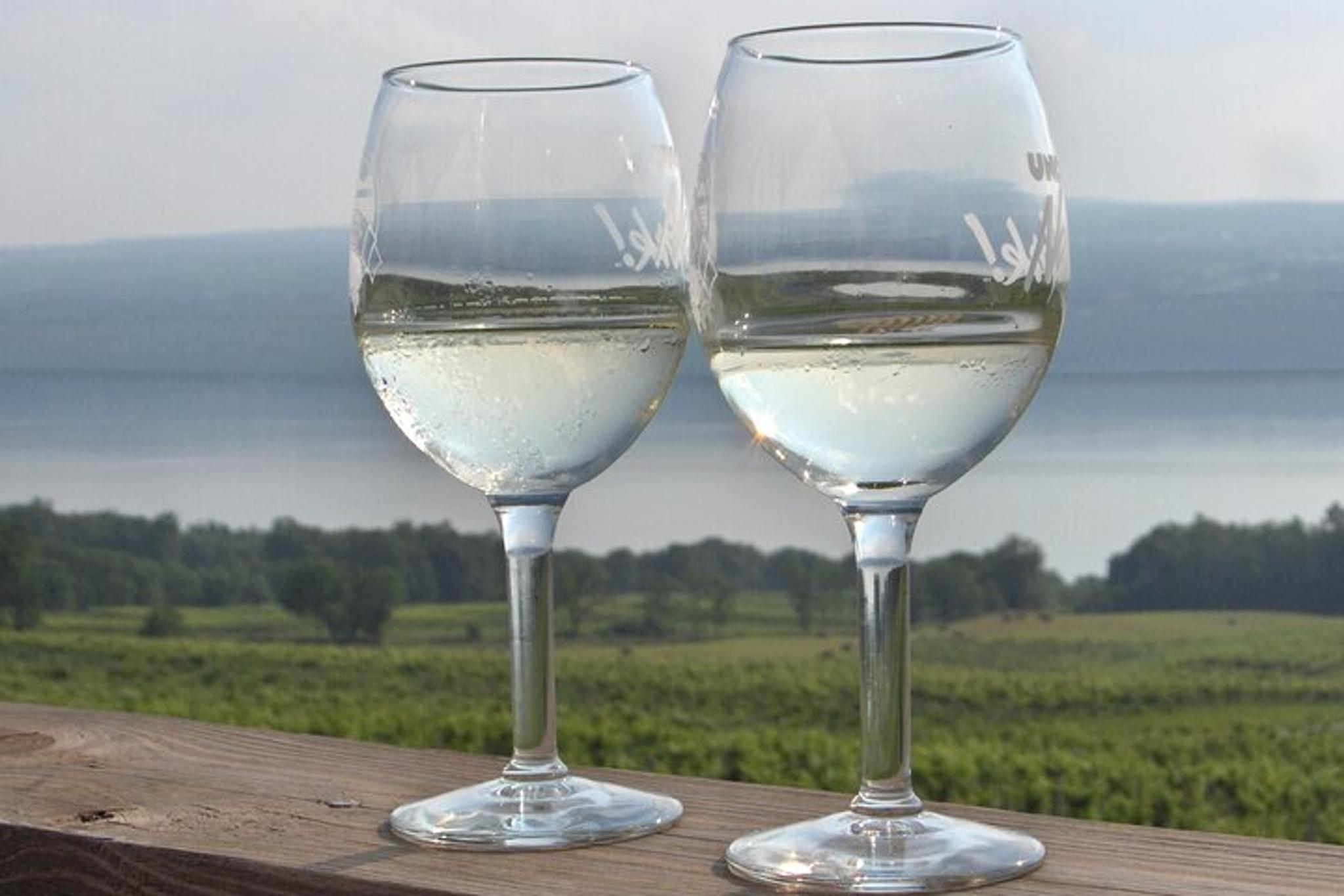 Seneca Lake Wine Tasting Tour