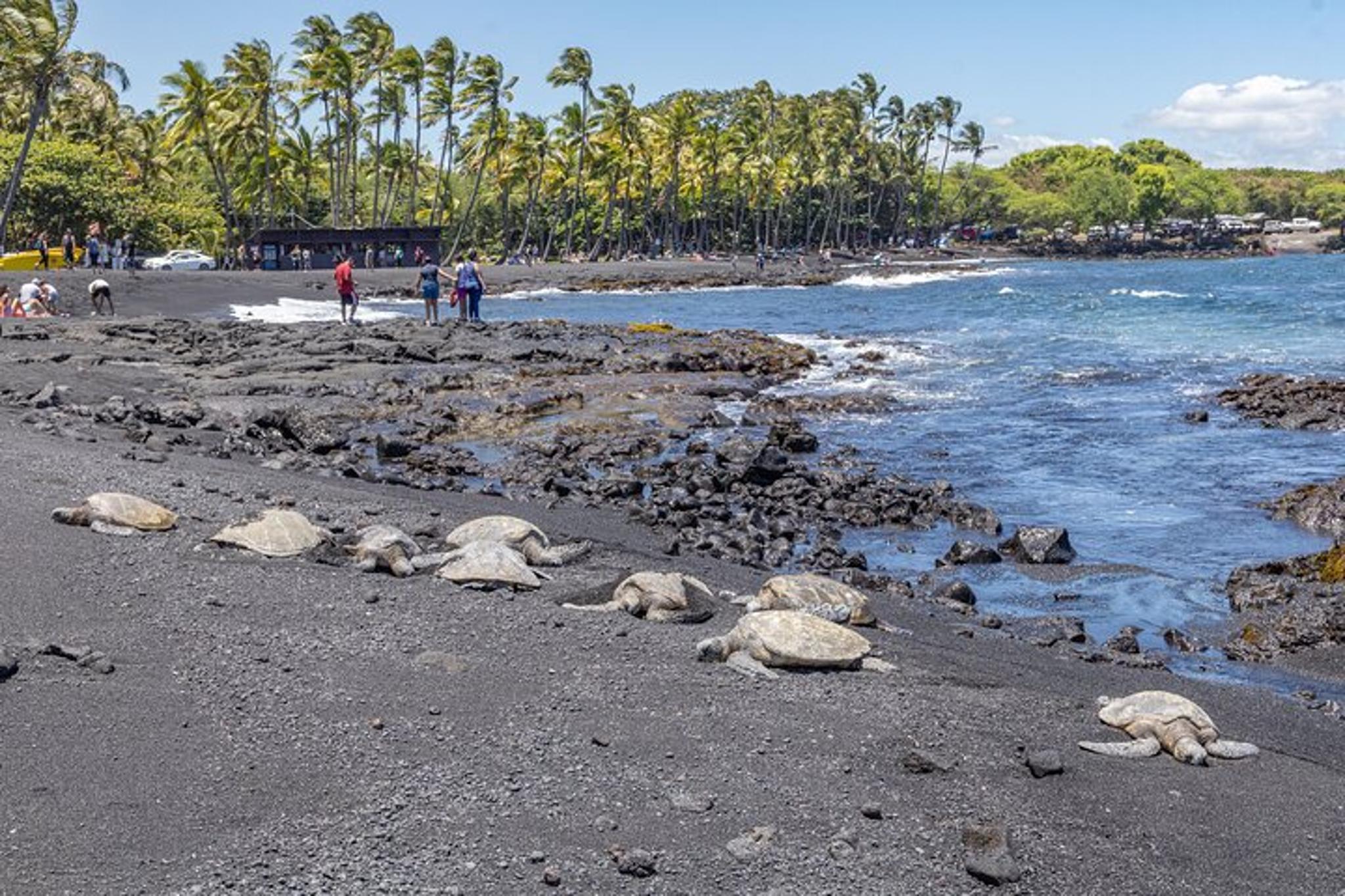Hawaii Volcanoes National Park and Black Sand Beaches Tour - Image 3