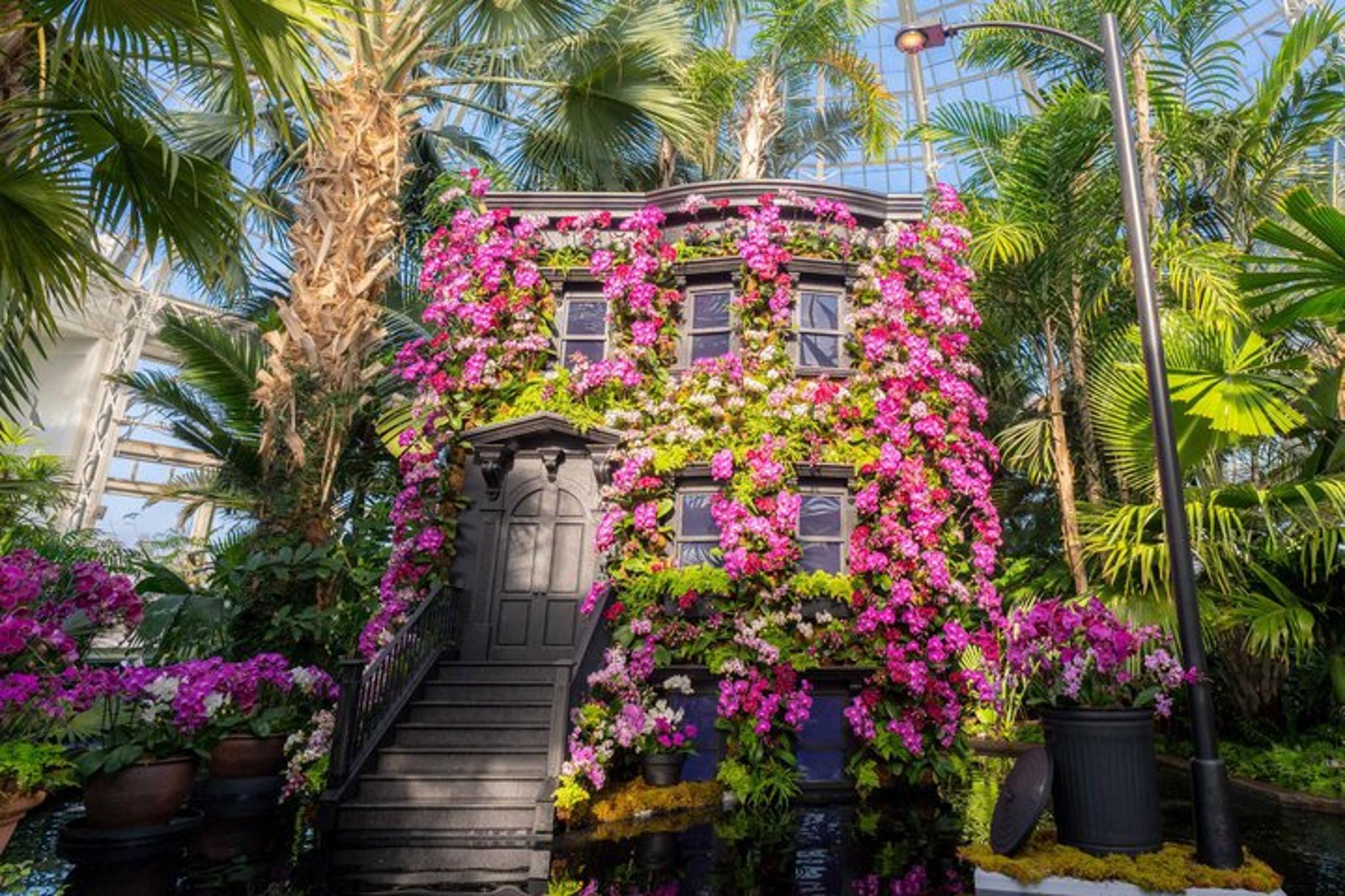 New York Botanical Garden Tour - Image 6