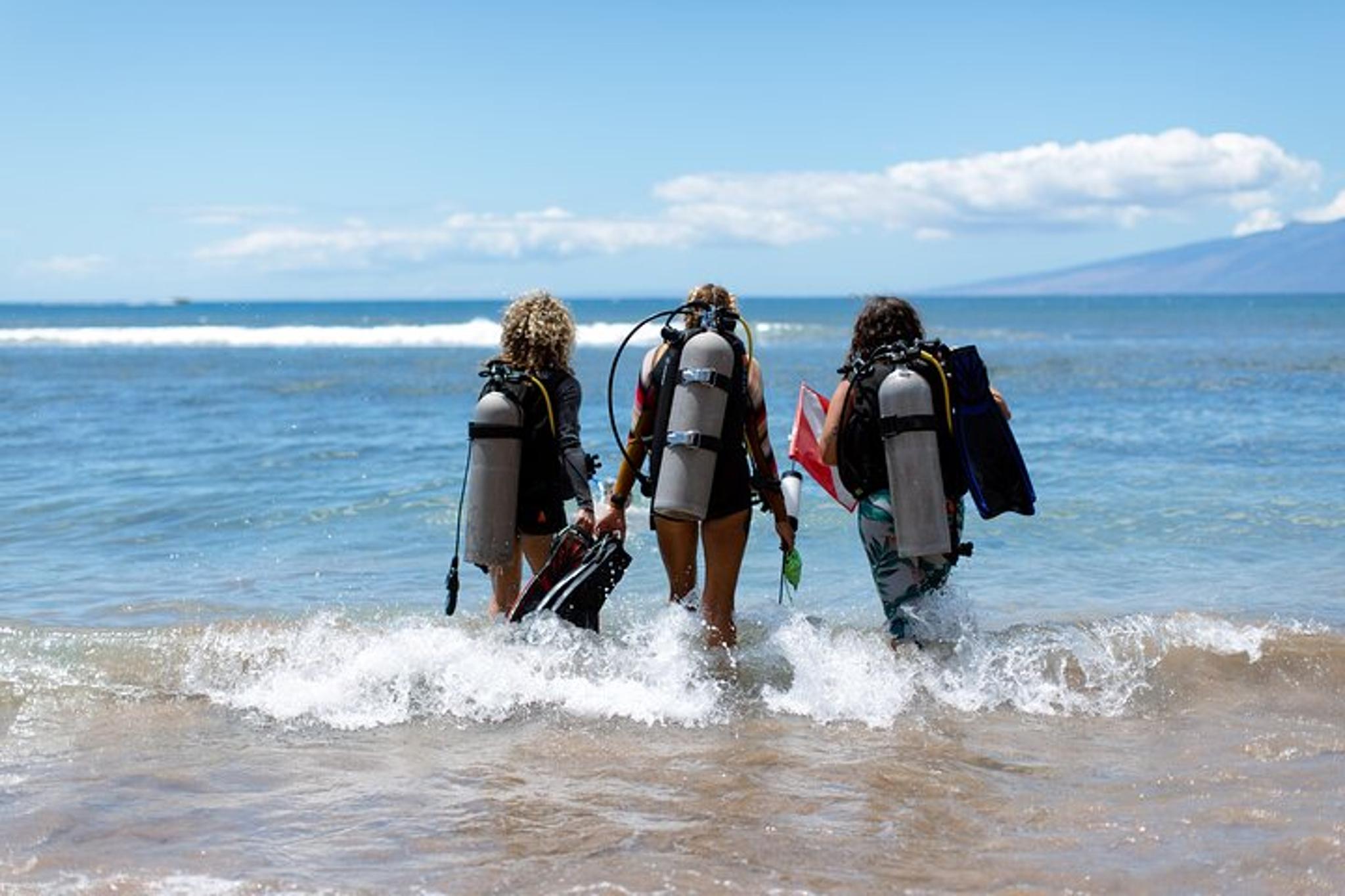 Lahaina Shark and Turtle Dive for Certified Divers - Image 4