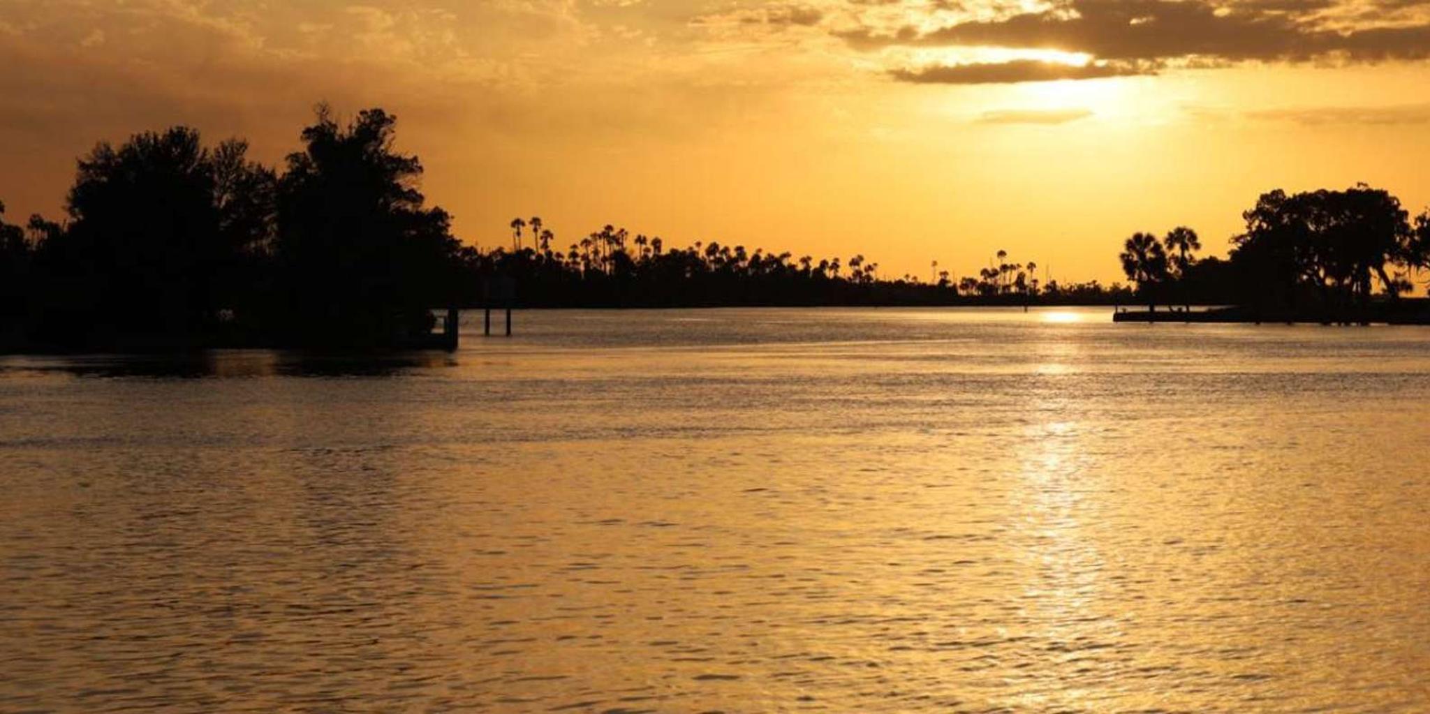 Crystal River Wildlife Boat Tour with Naturalist Guide
