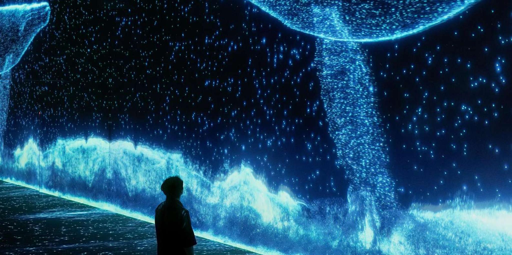 New York Immersive Media Art Exhibition - Image 5