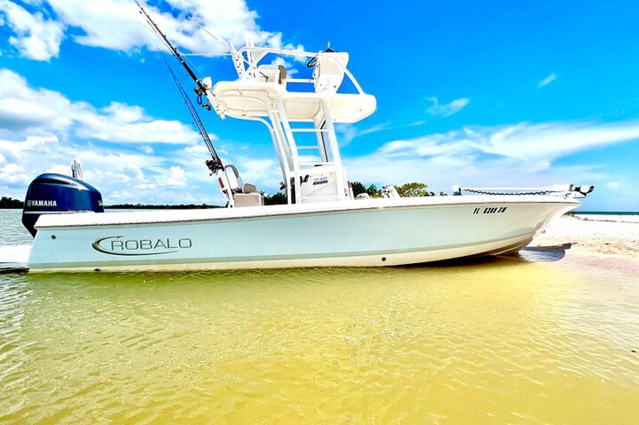 Marco Island Dolphin & Eco Tour 2 Hr - Image 2