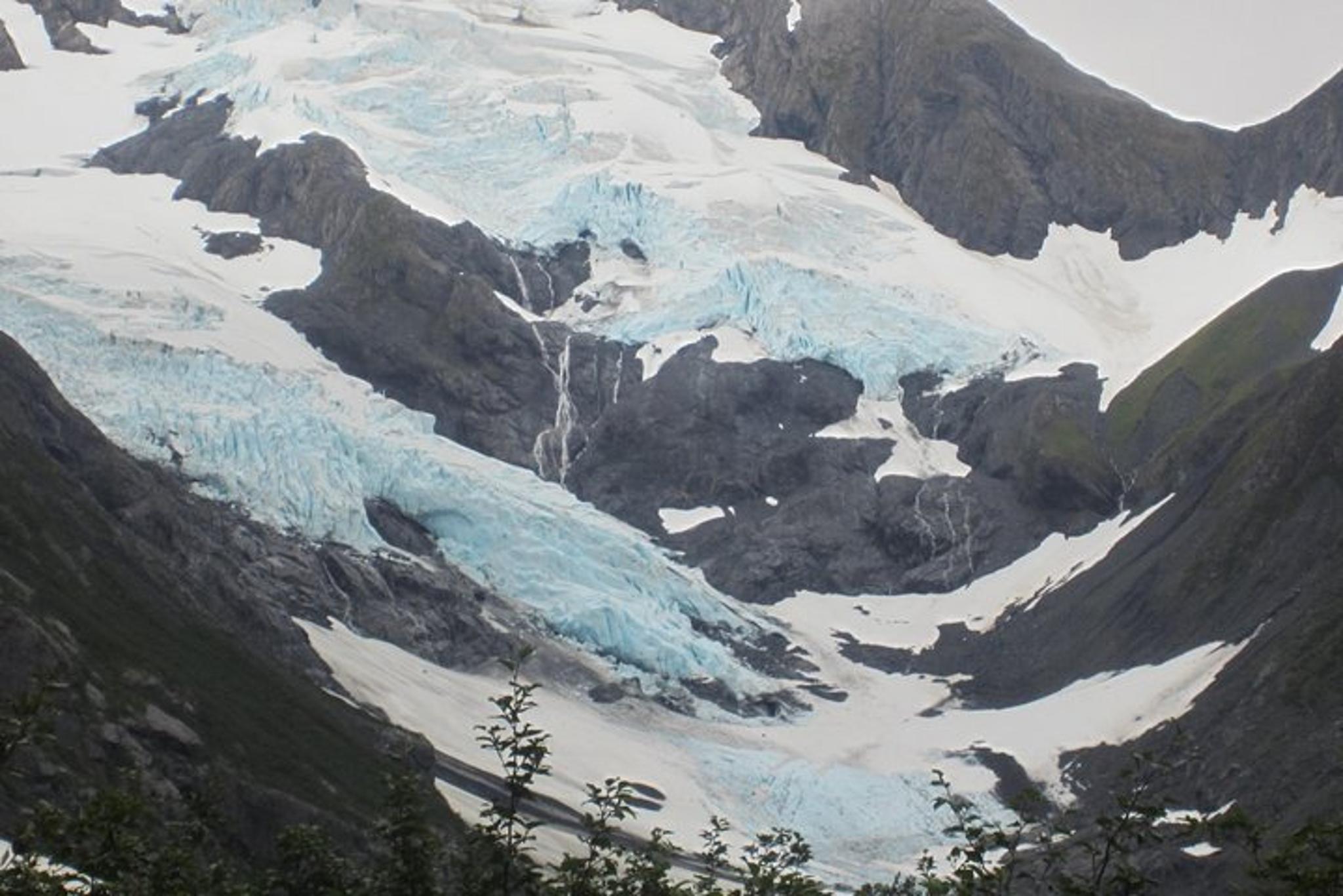 Anchorage Wildlife and Glacier Tour with Rainforest Walk - Image 6