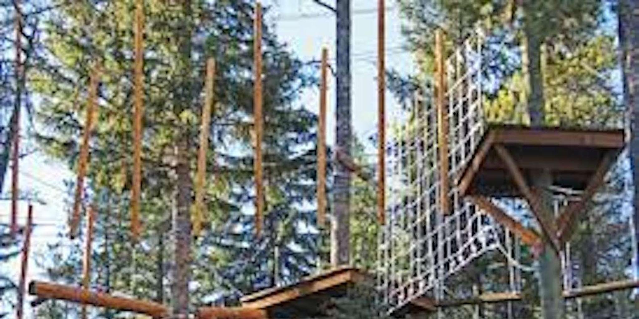 Santa Barbara High Ropes Adventure Course - Image 5