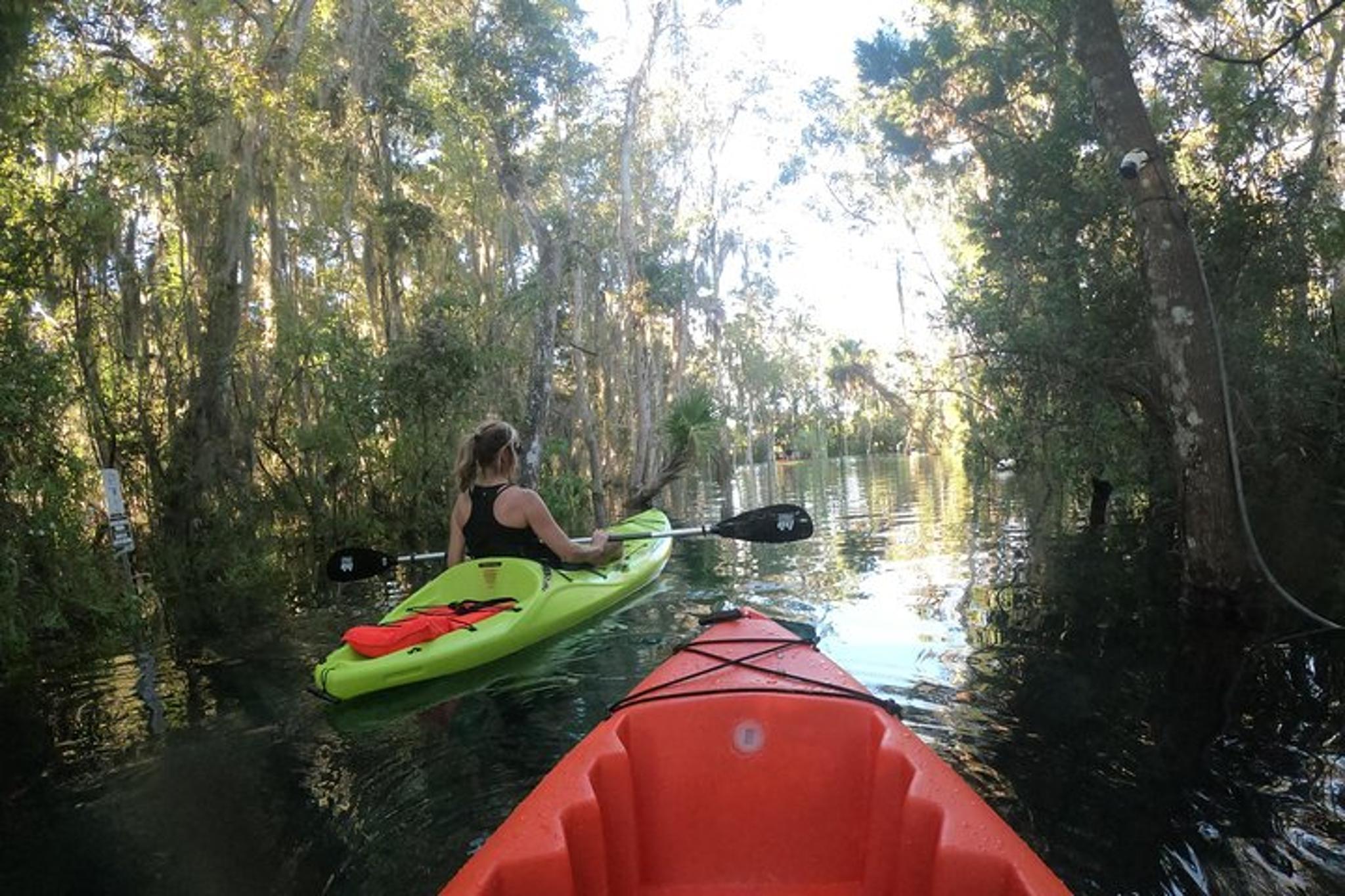 Crystal River Single Kayak Rental - Image 2