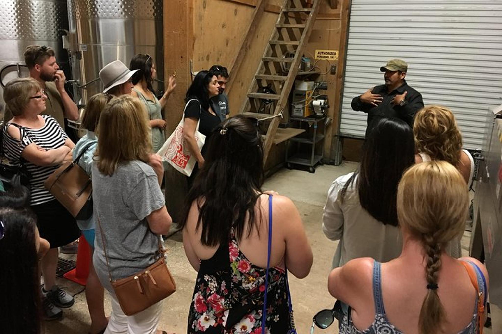 San Antonio Wine Tour to Fredericksburg - Image 4