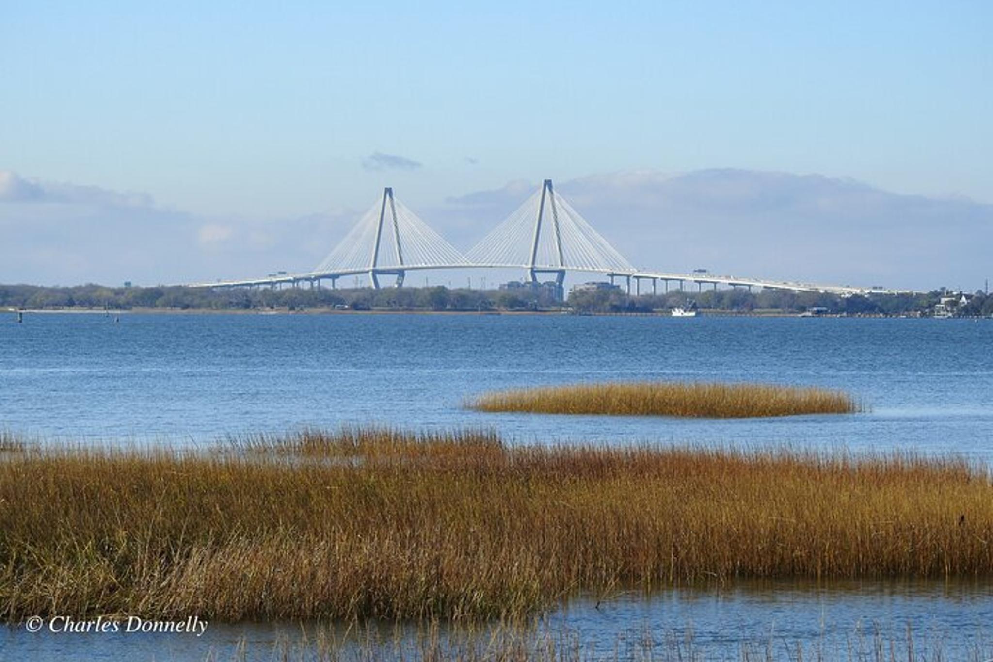 Charleston Bird Watching Tour 75 Min - Image 4