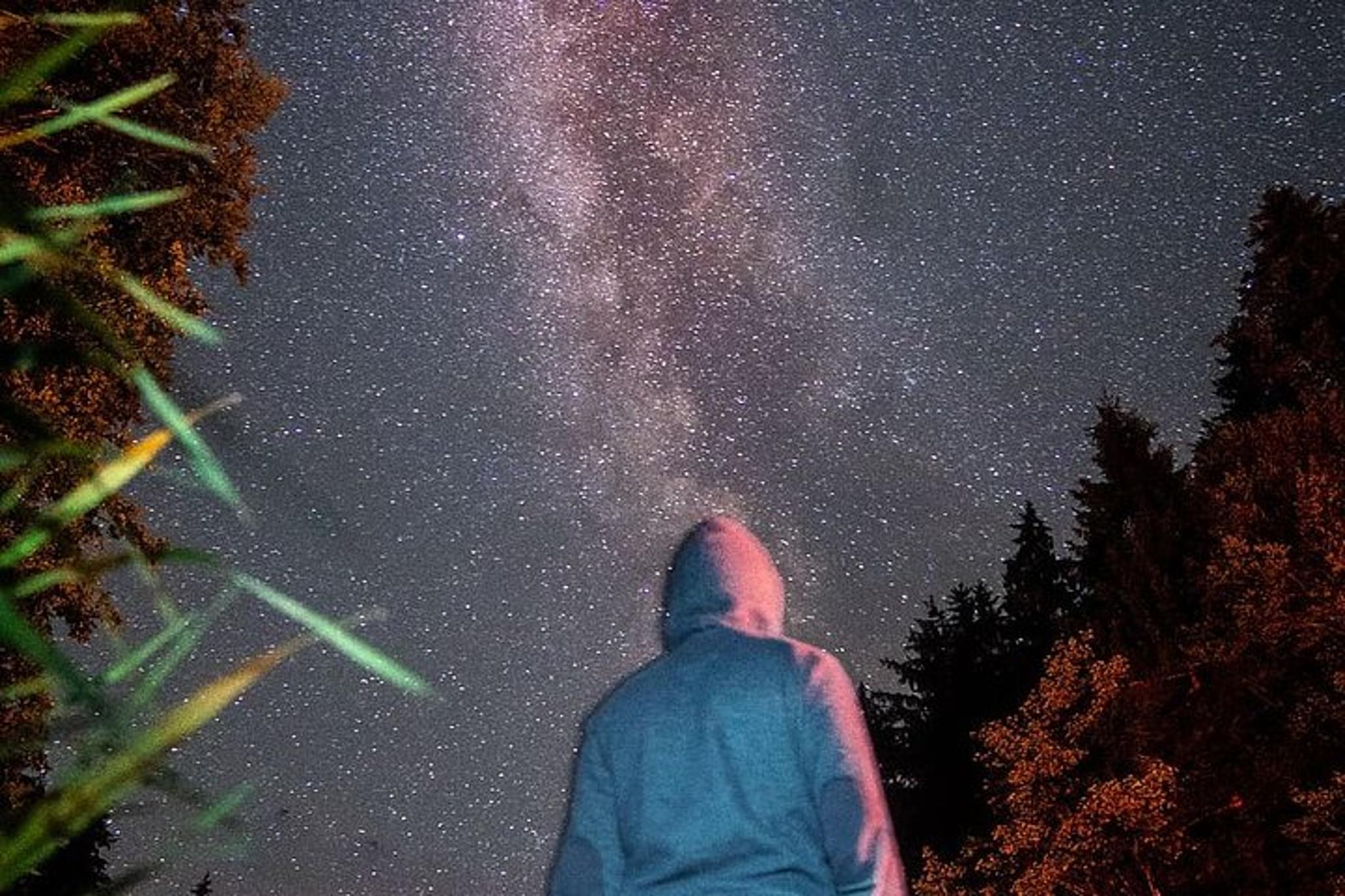 Sequoia National Park Stargazing Tour - Image 2
