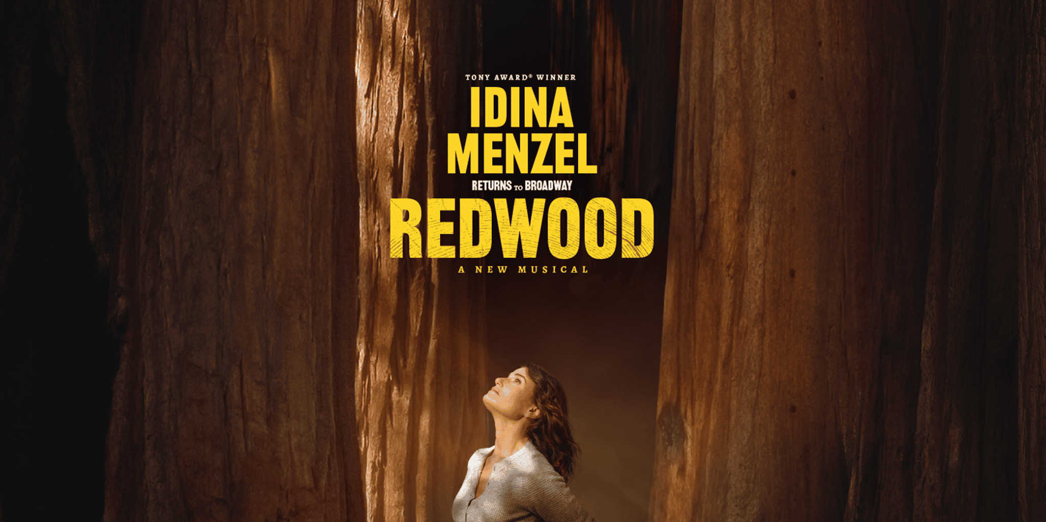 New York City Redwood Broadway Show