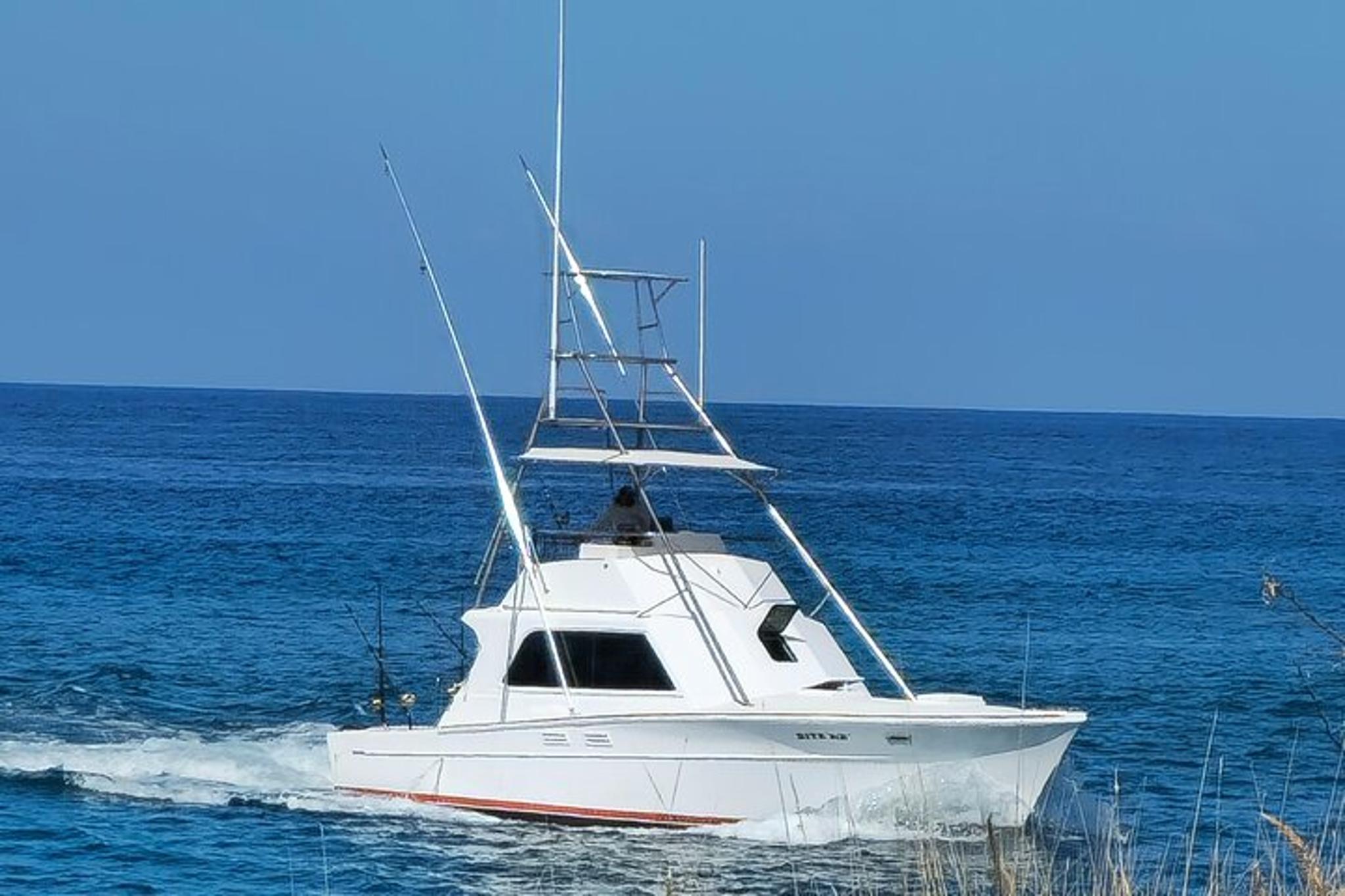 Kona Deep Sea Fishing Adventure - Image 2