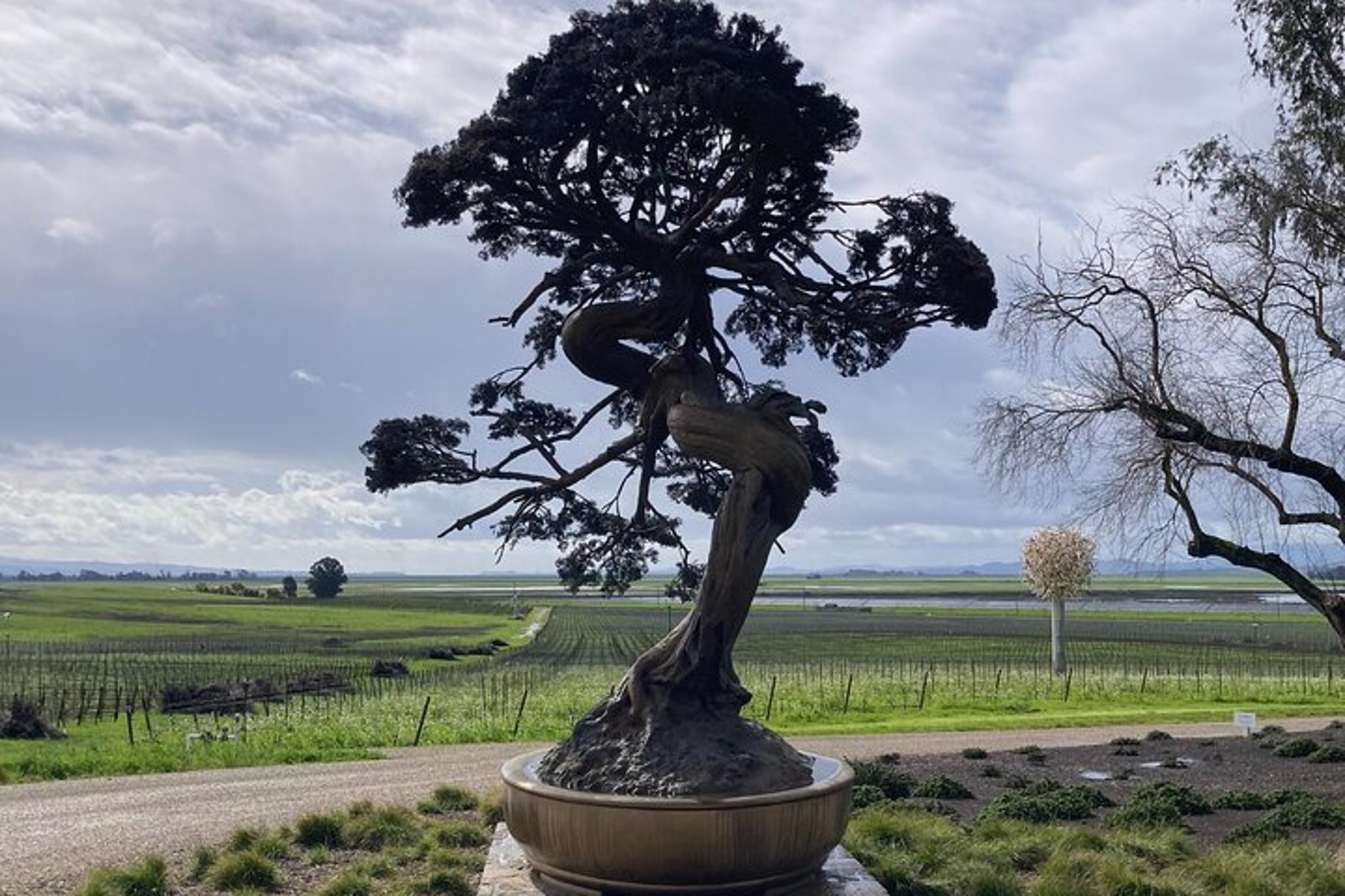 Napa Valley Wine Tour - Image 6