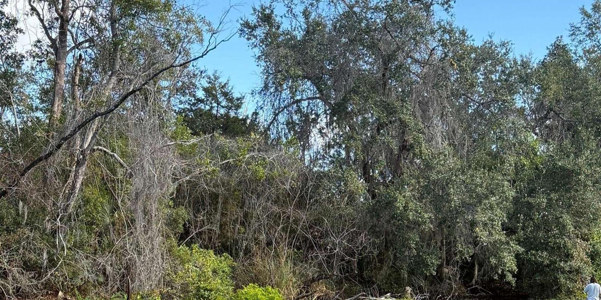 Sarasota Paddleboard Rental at Turtle Beach - Image 5