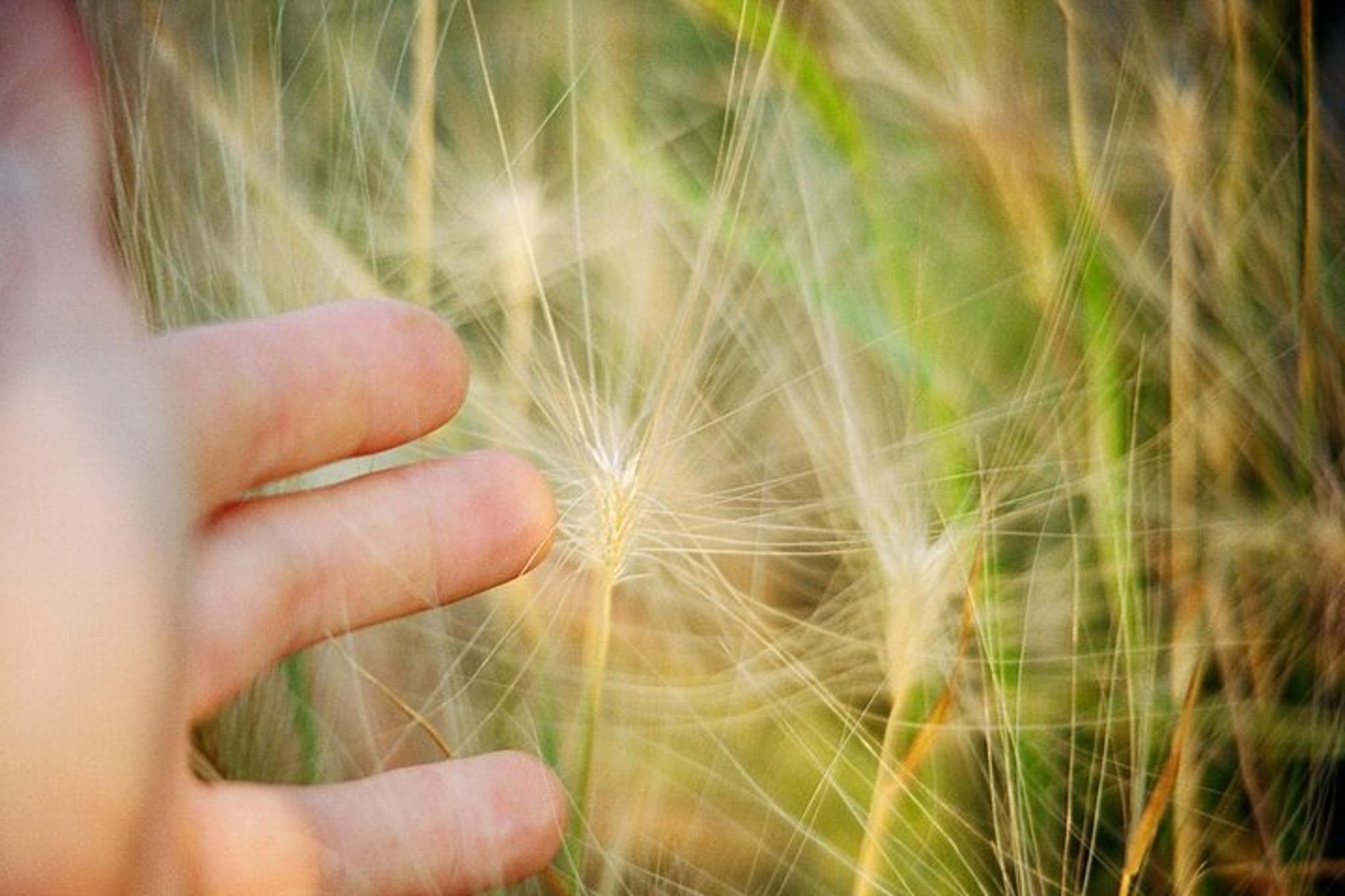 Denali Park Tour from Fairbanks - Image 3