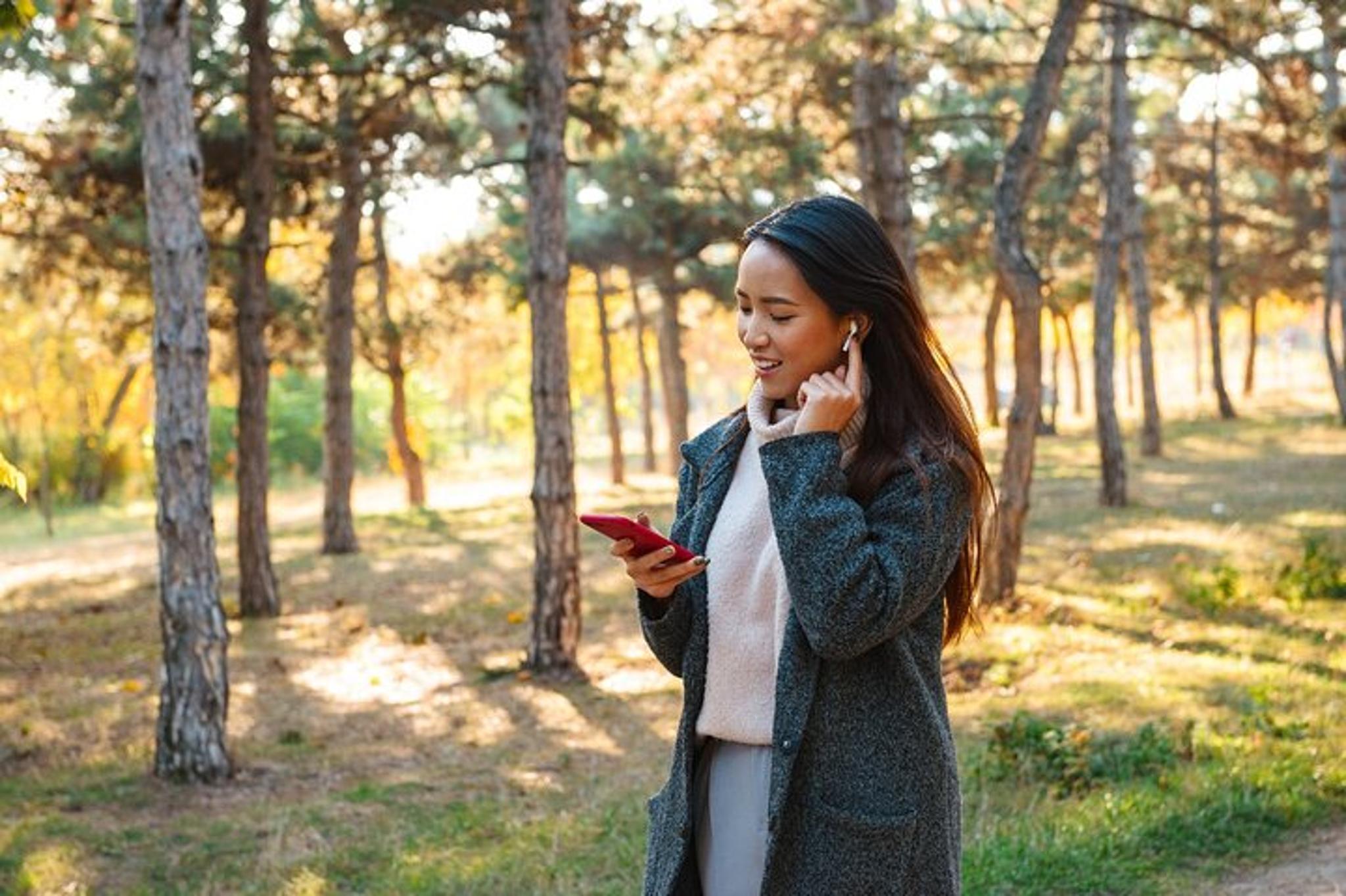 Plymouth Self-Guided Walking Audio Tour - Image 2