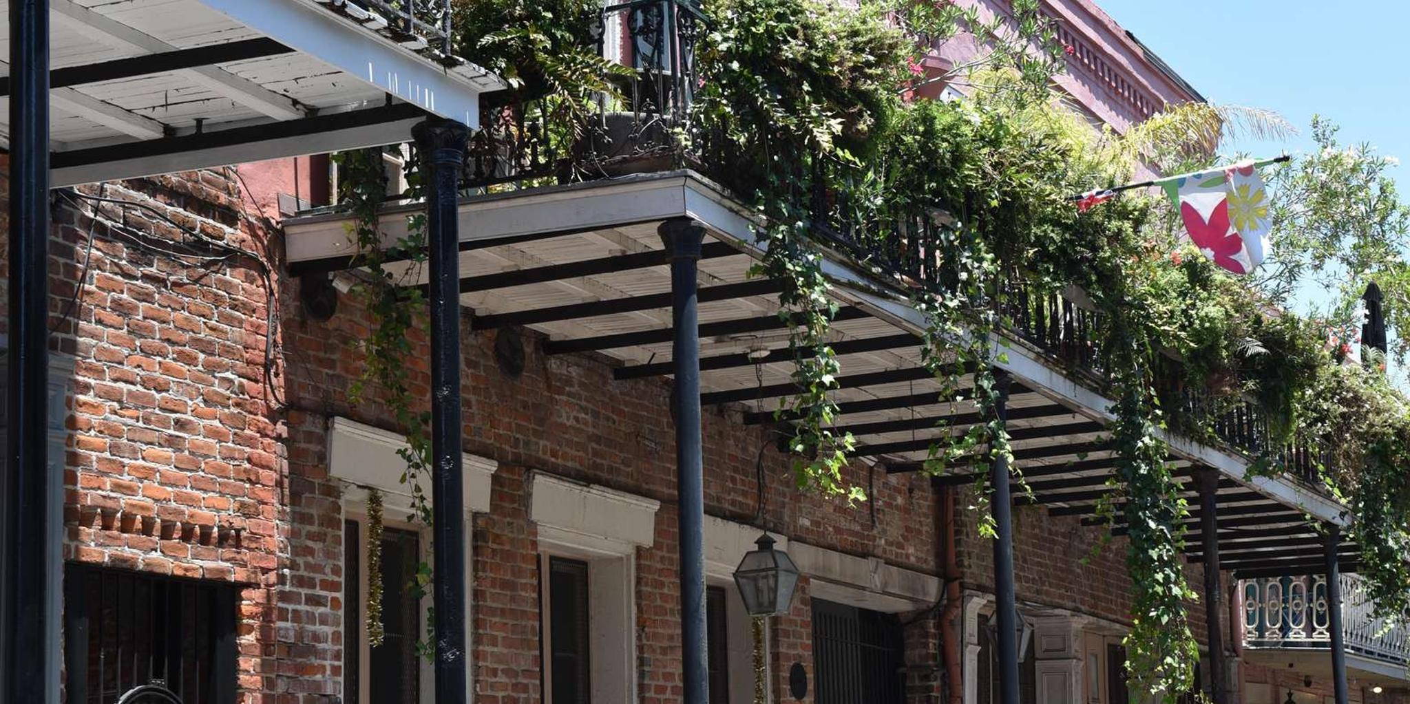 New Orleans Bus, Cruise, and Walking Tour - Image 4