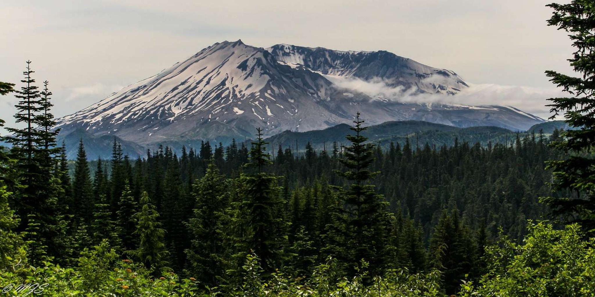 Seattle Mount Rainier National Park Tour