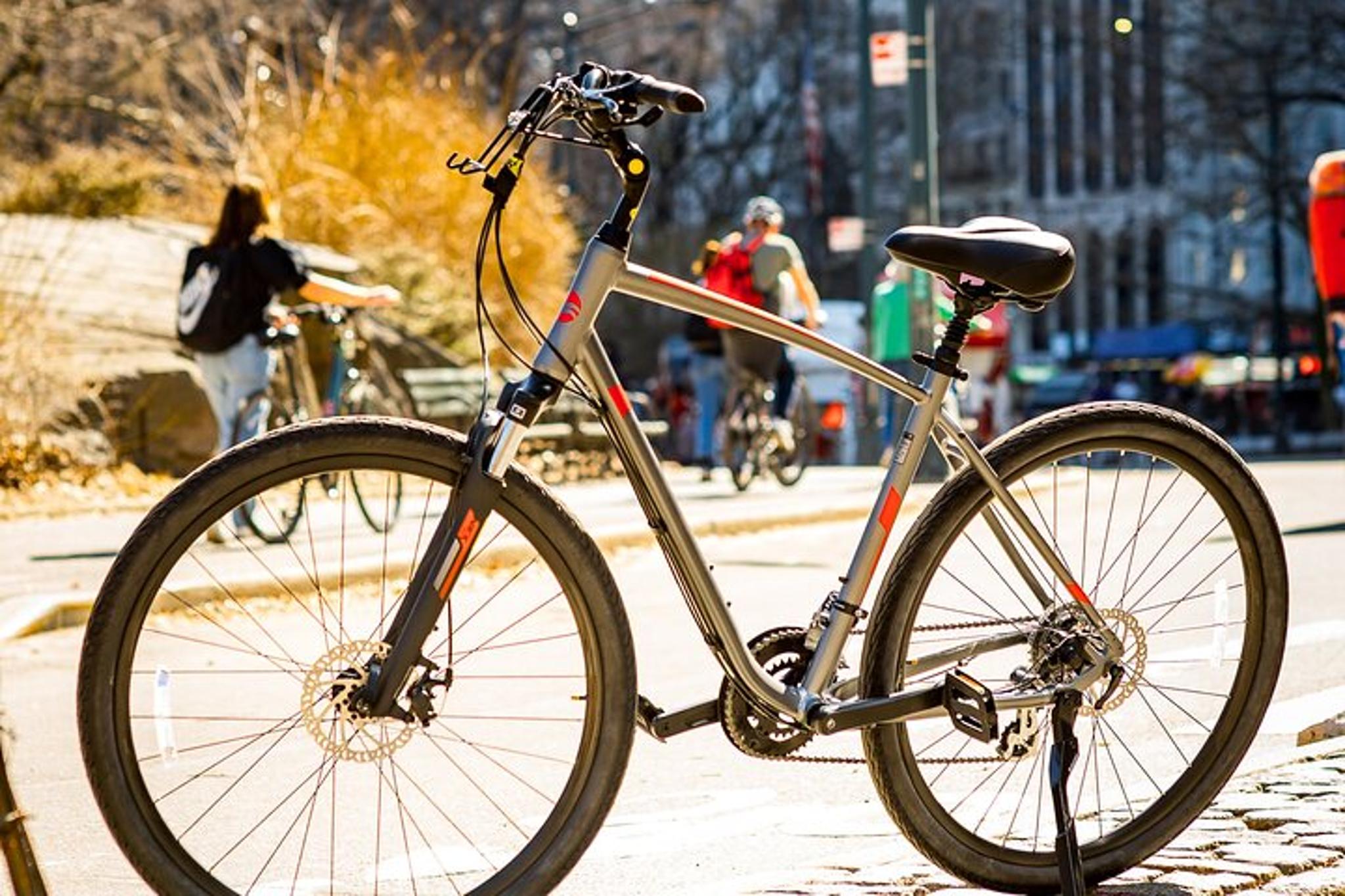 New York City Central Park Bike Rental - Image 6