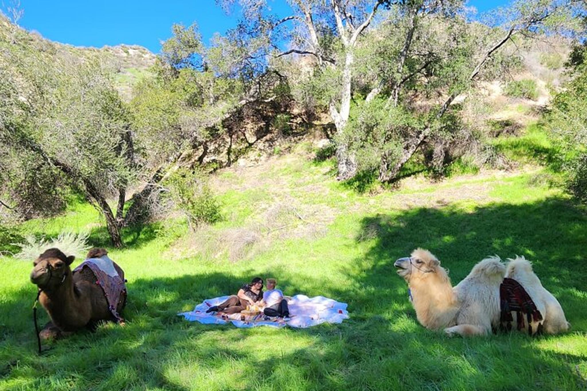 Los Angeles Camel Trek and Ranch Experience - Image 2