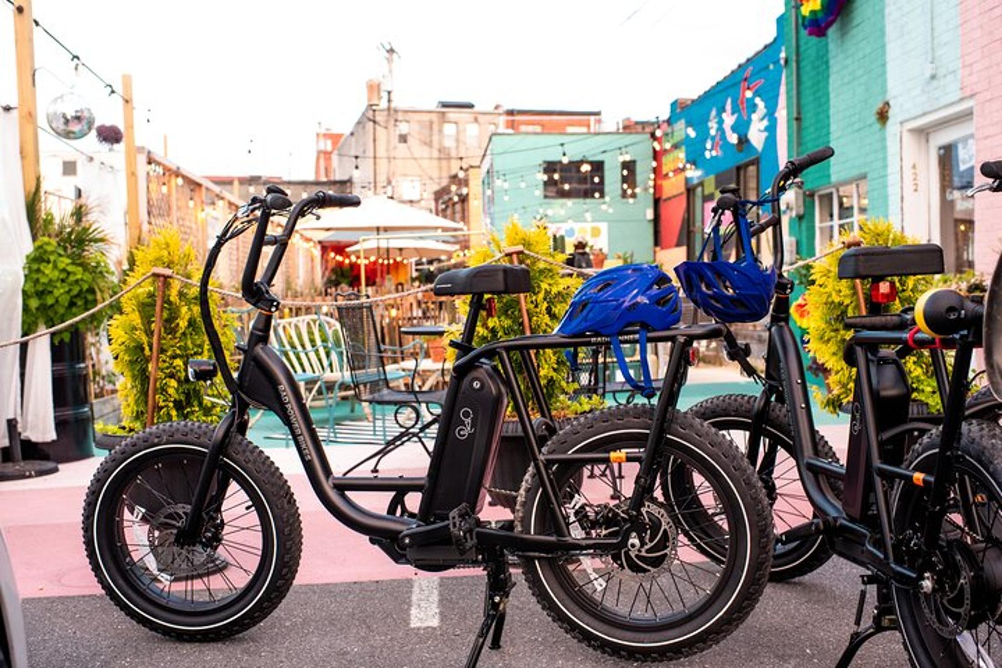 Roanoke E-Bike Mural Tour