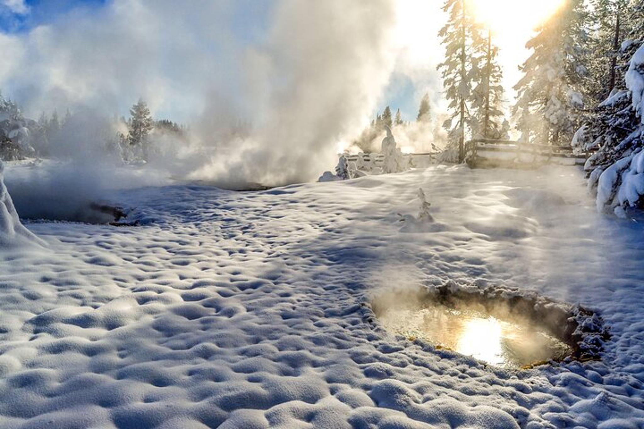 Yellowstone & Grand Teton Winter Tour 4-Day - Image 6