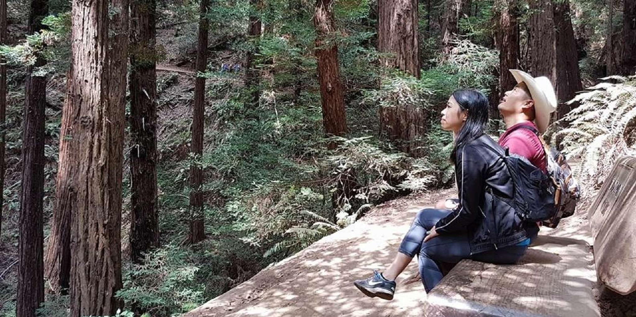 San Francisco Muir Woods and Sausalito Tour - Image 4