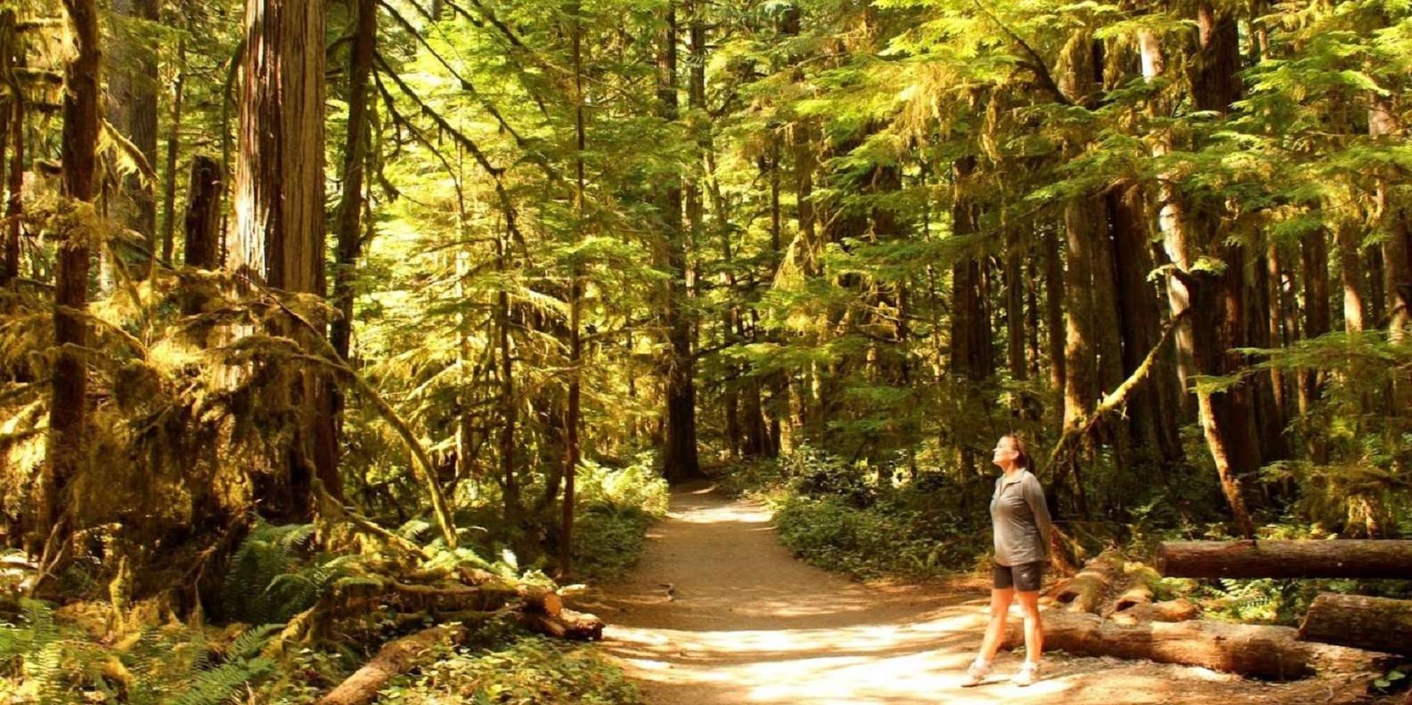 Seattle Olympic National Park Small-Group Day Tour - Image 2