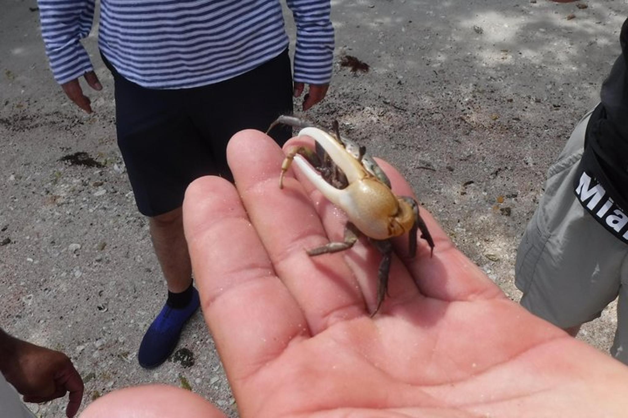 10,000 Islands Shelling Boat Tour - Image 5