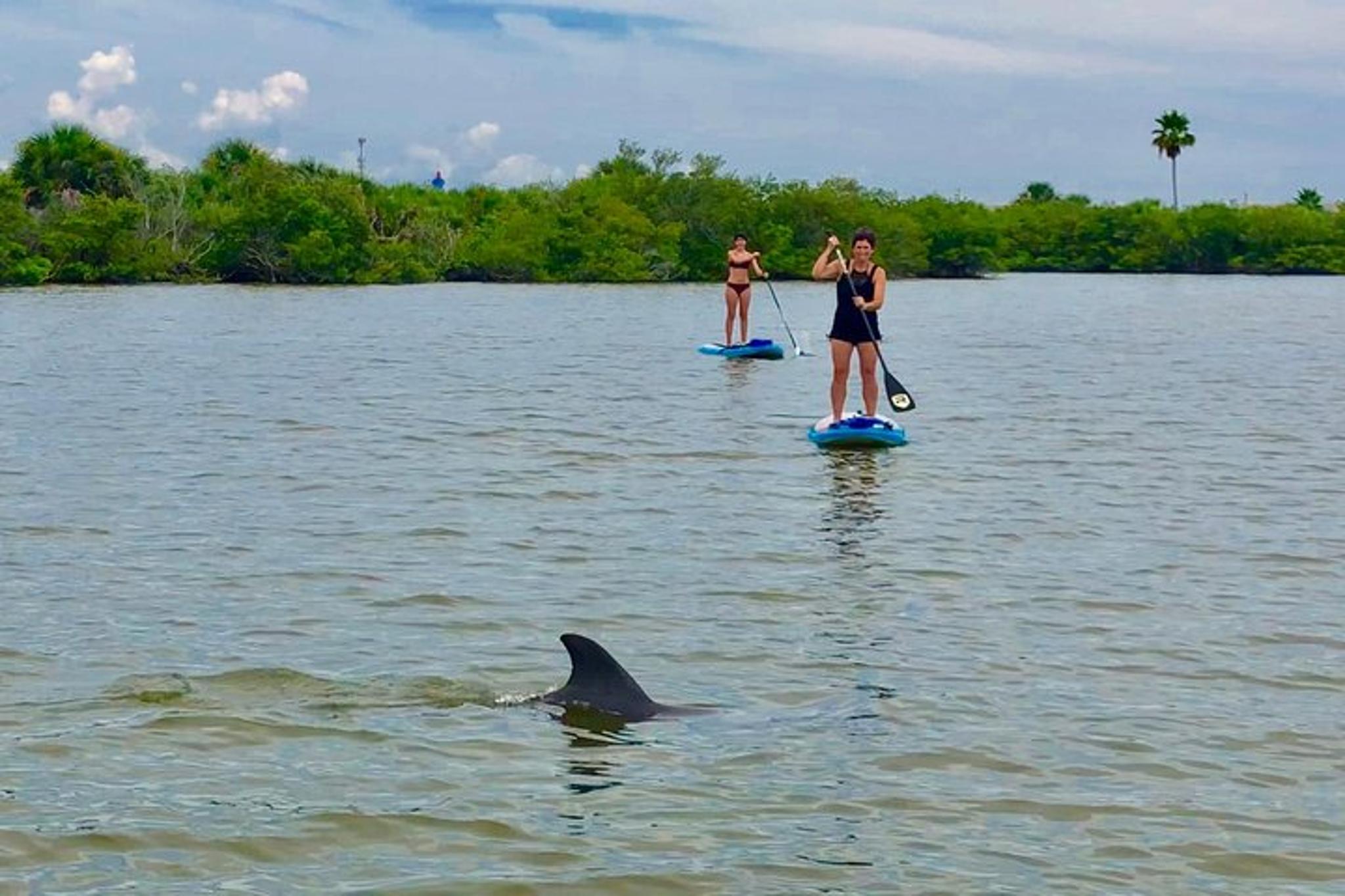 Banana River Paddle Board and Kayak Eco Tour - Image 2