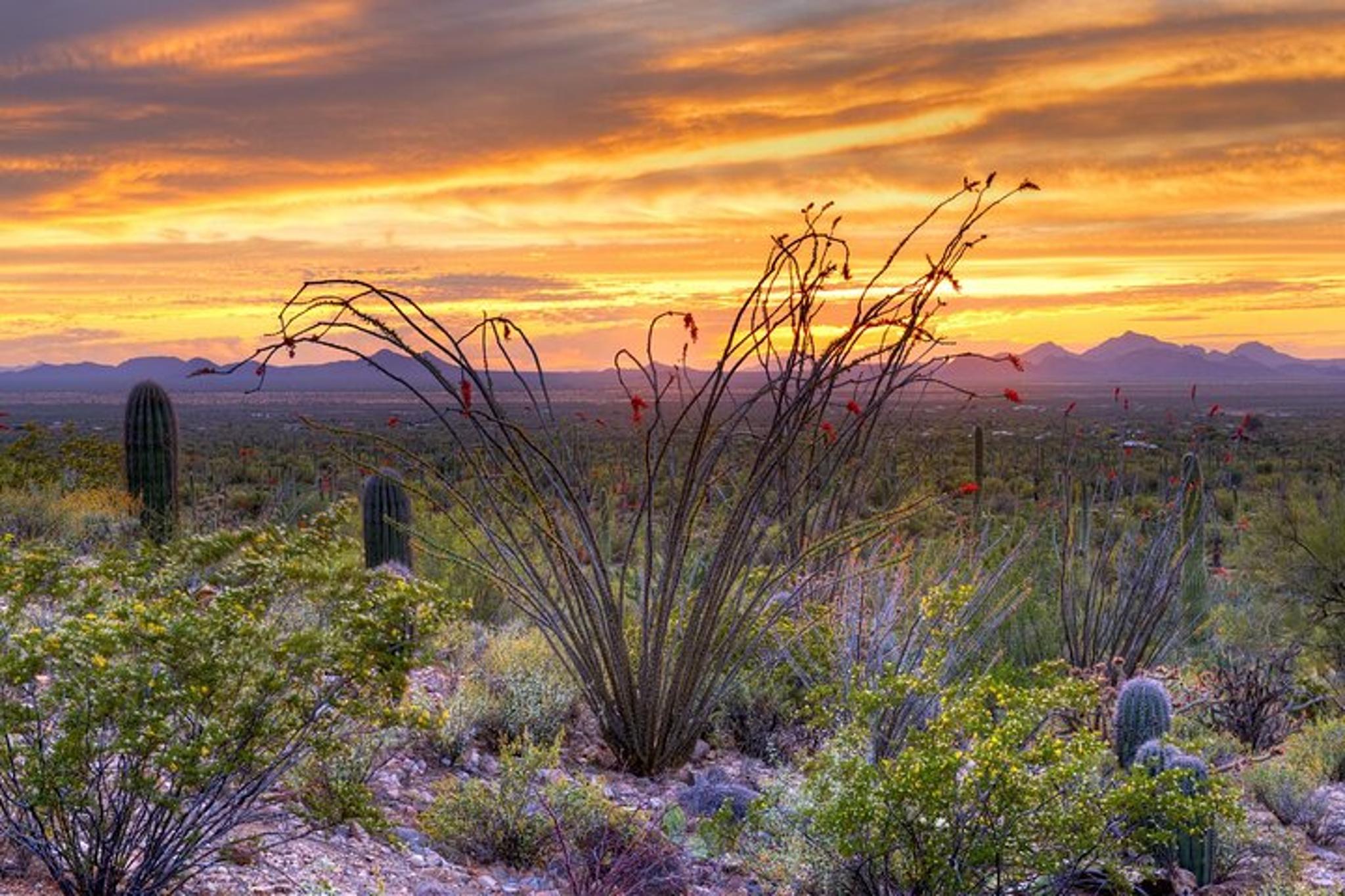 Tucson Self-Guided Audio Driving Tour Bundle - Image 4