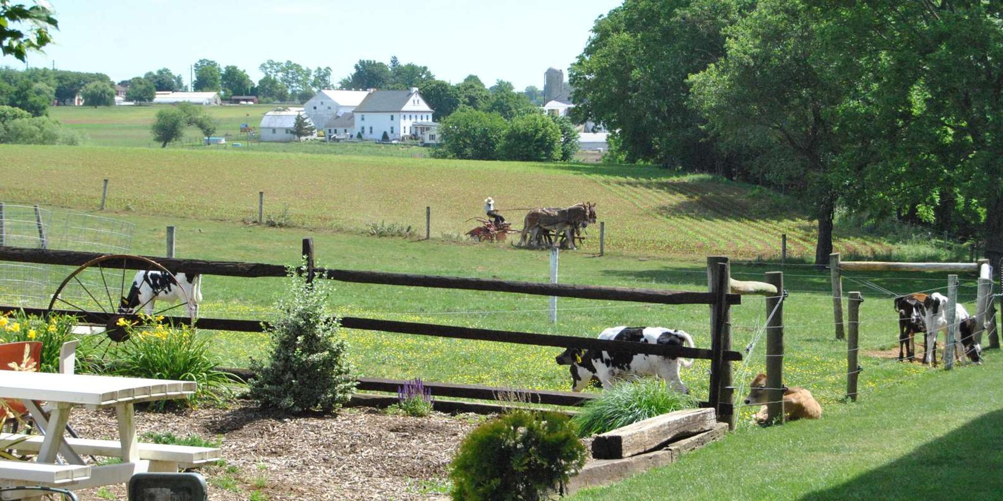 Lancaster Amish Experience Visit-in-Person Tour 3 hr - Image 1