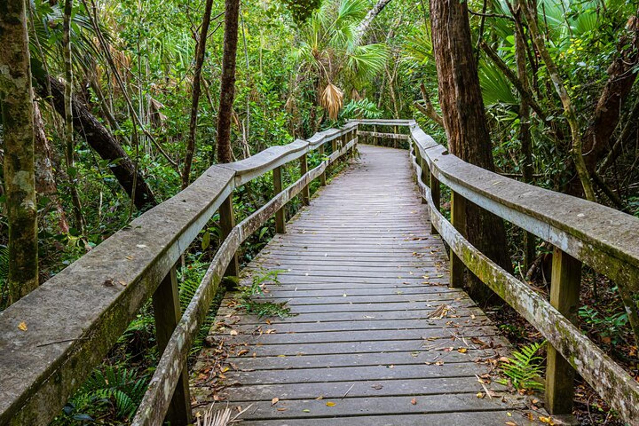 Everglades National Park Self-Guided Audio Tour - Image 2