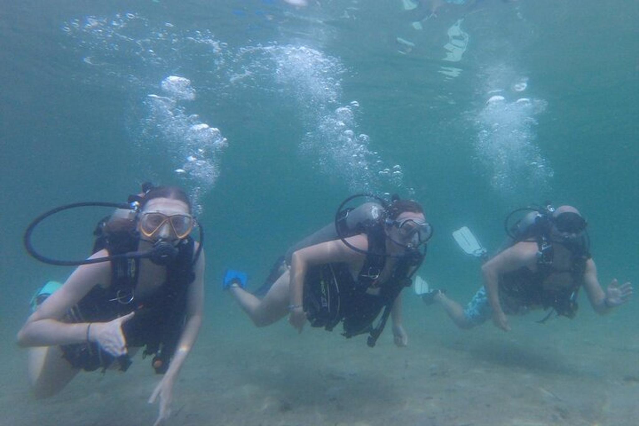 Panama City Scuba Diving for Beginners - Image 4