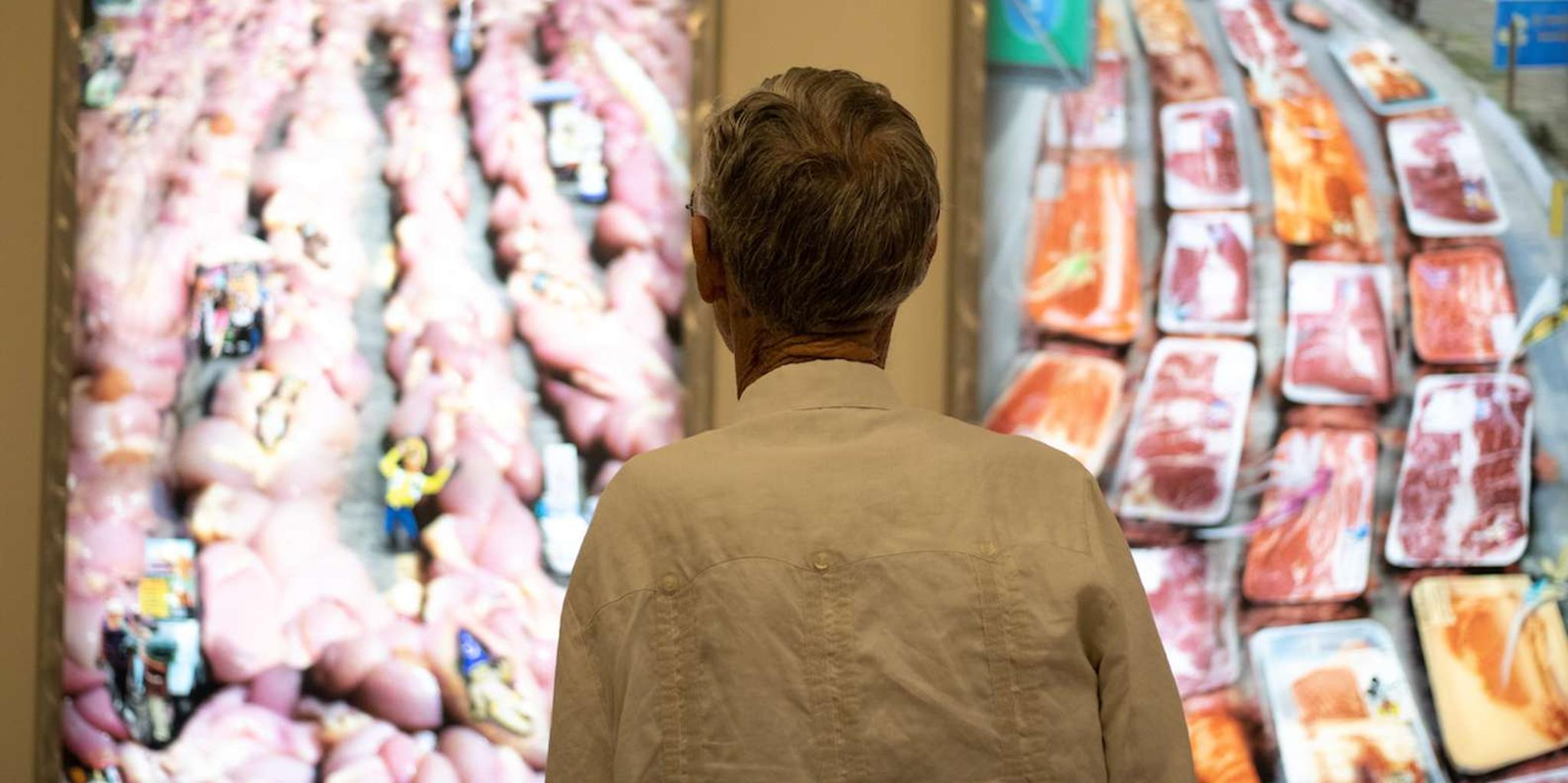 Corpus Christi Art Museum Entry Ticket - Image 4