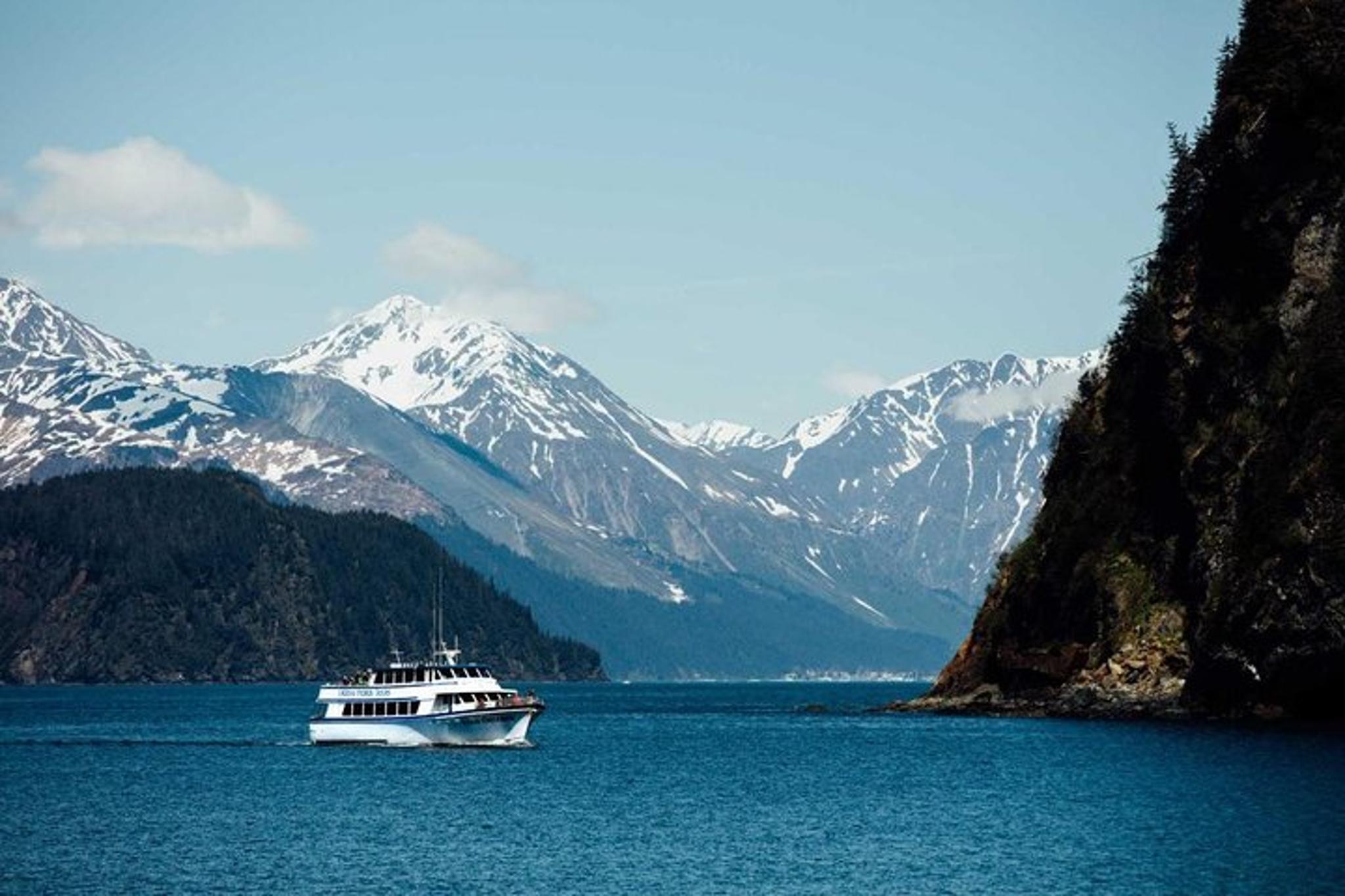 Seward Glacier and Wildlife Tour - Image 6