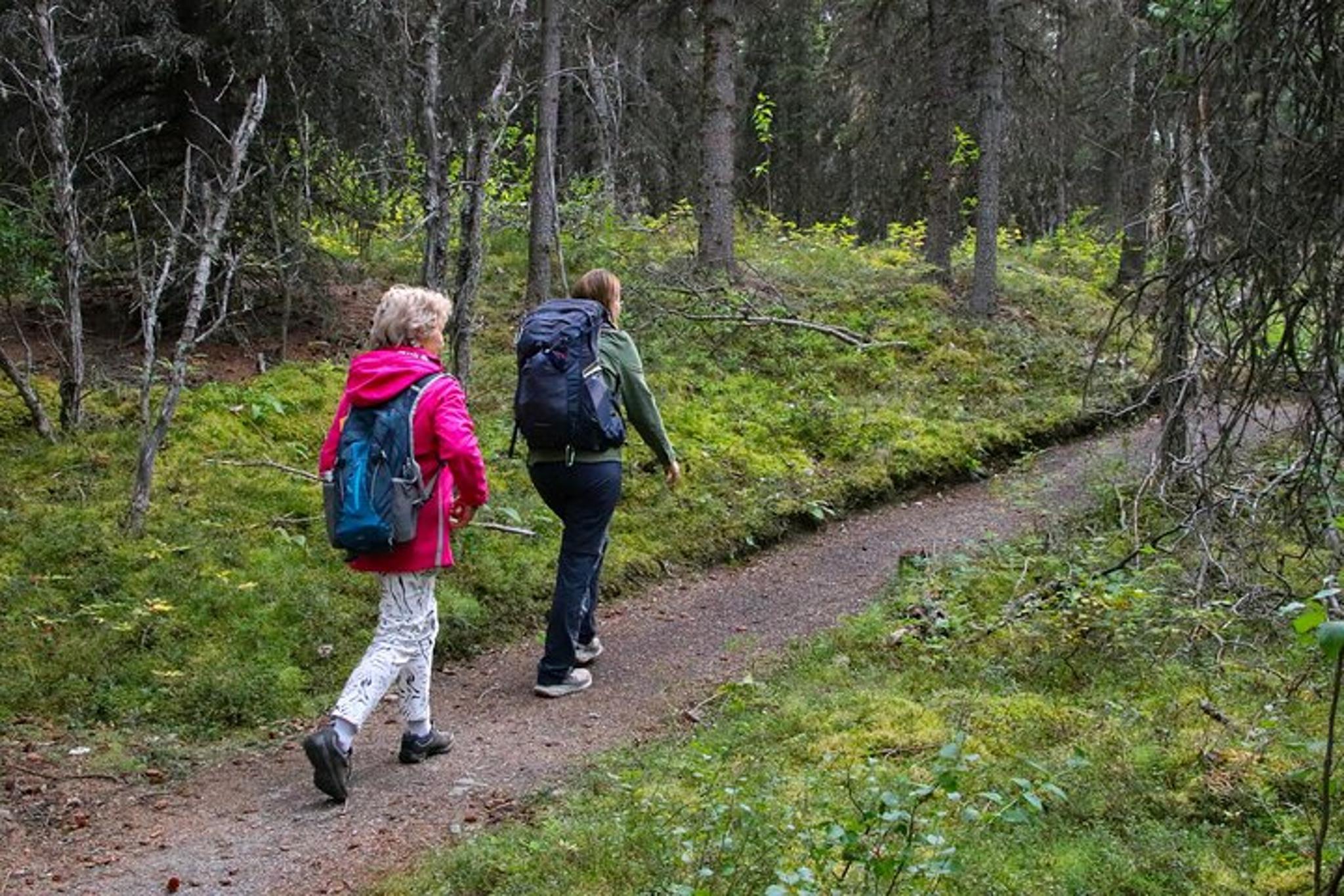 Denali Nature Hike - Image 3