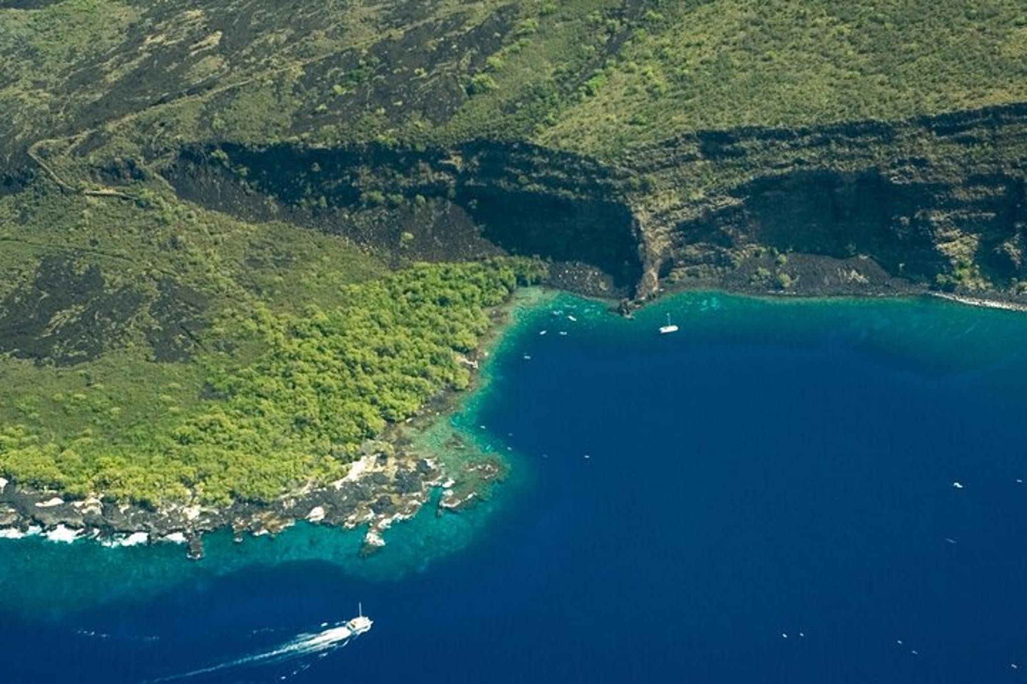 Kailua-Kona Snorkel Tour at Kealakekua Bay - Image 5