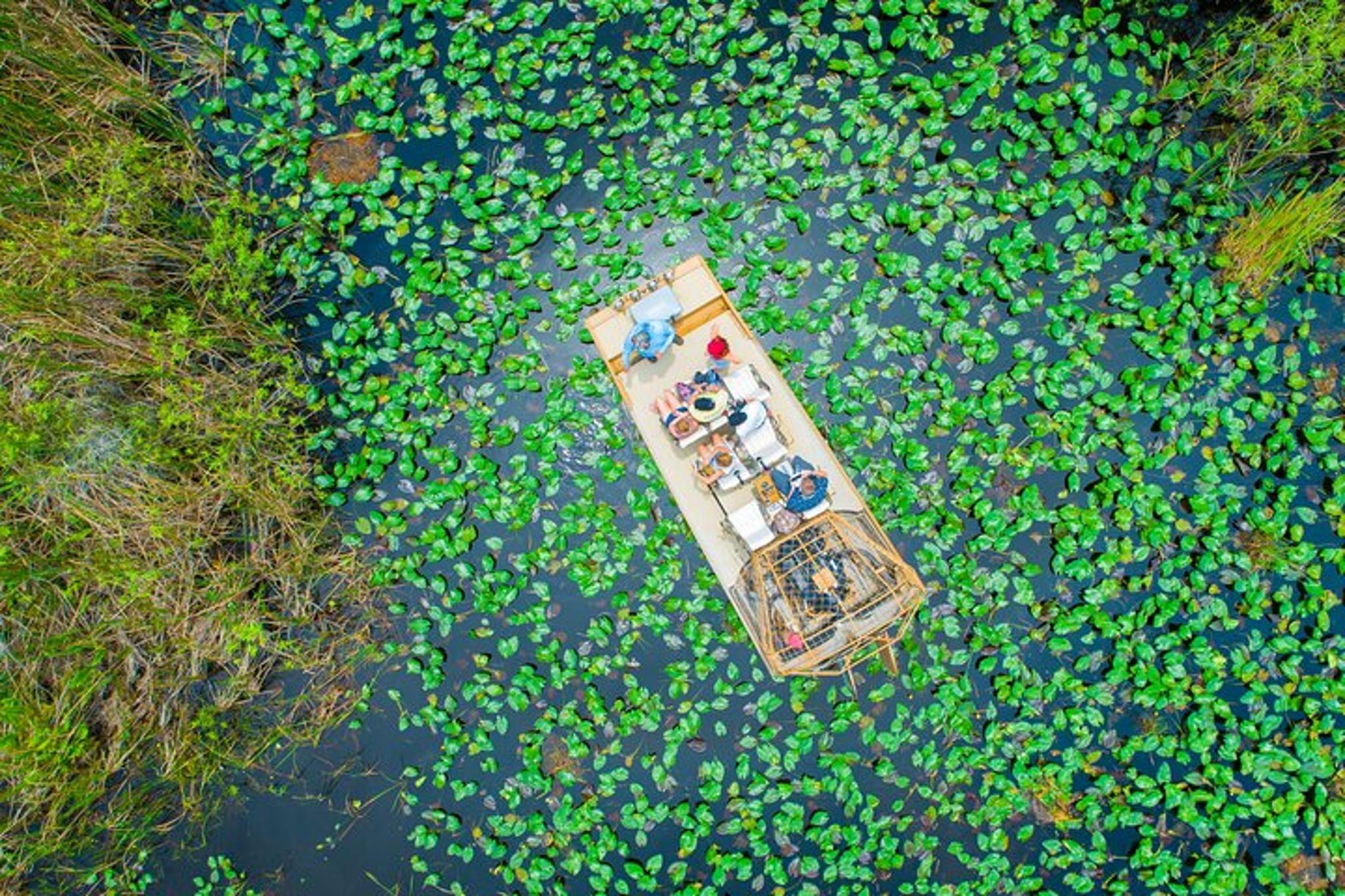 Miami Airboat Tour in the Everglades