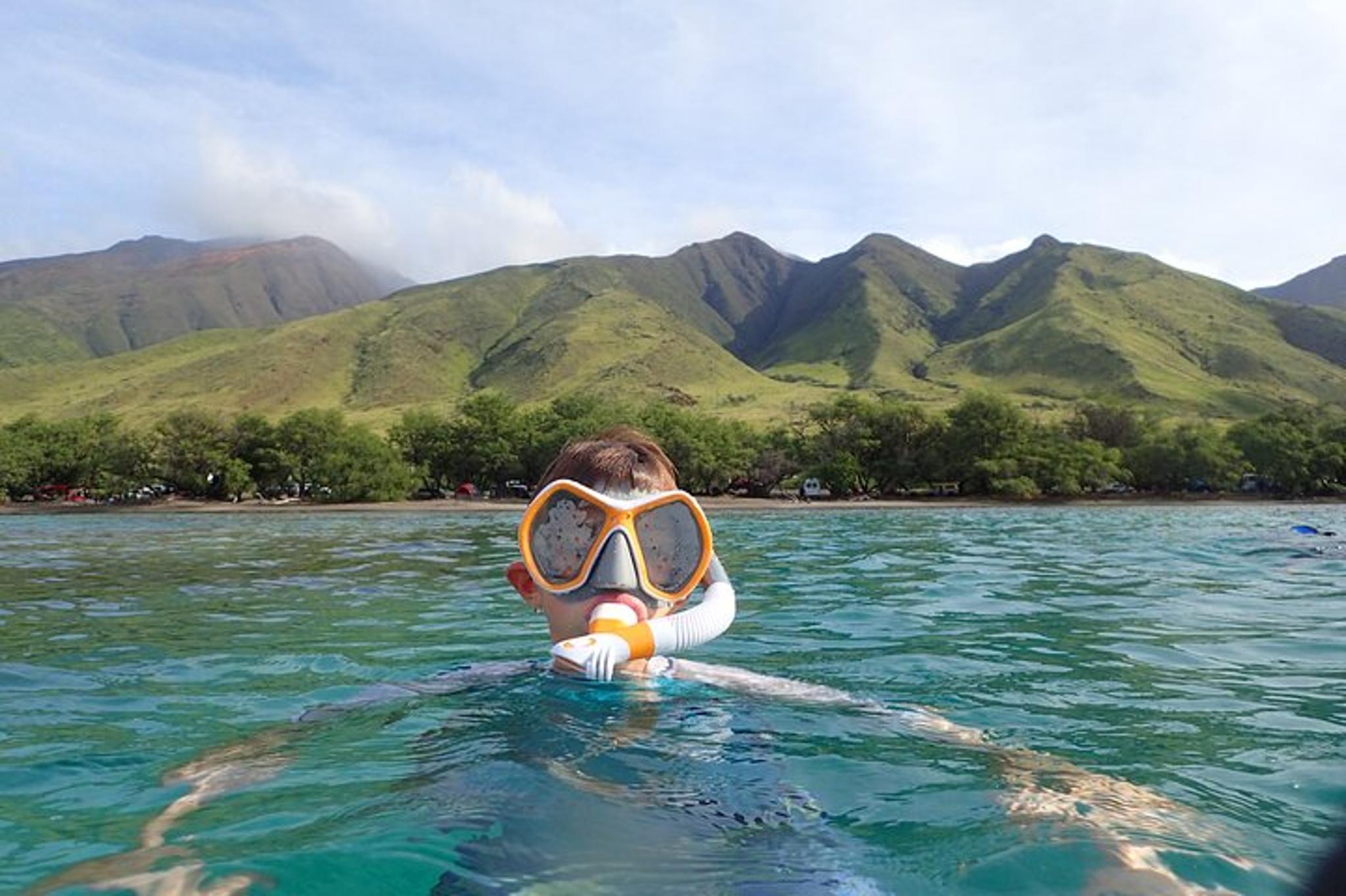 Lahaina Snorkel Excursion - Image 3
