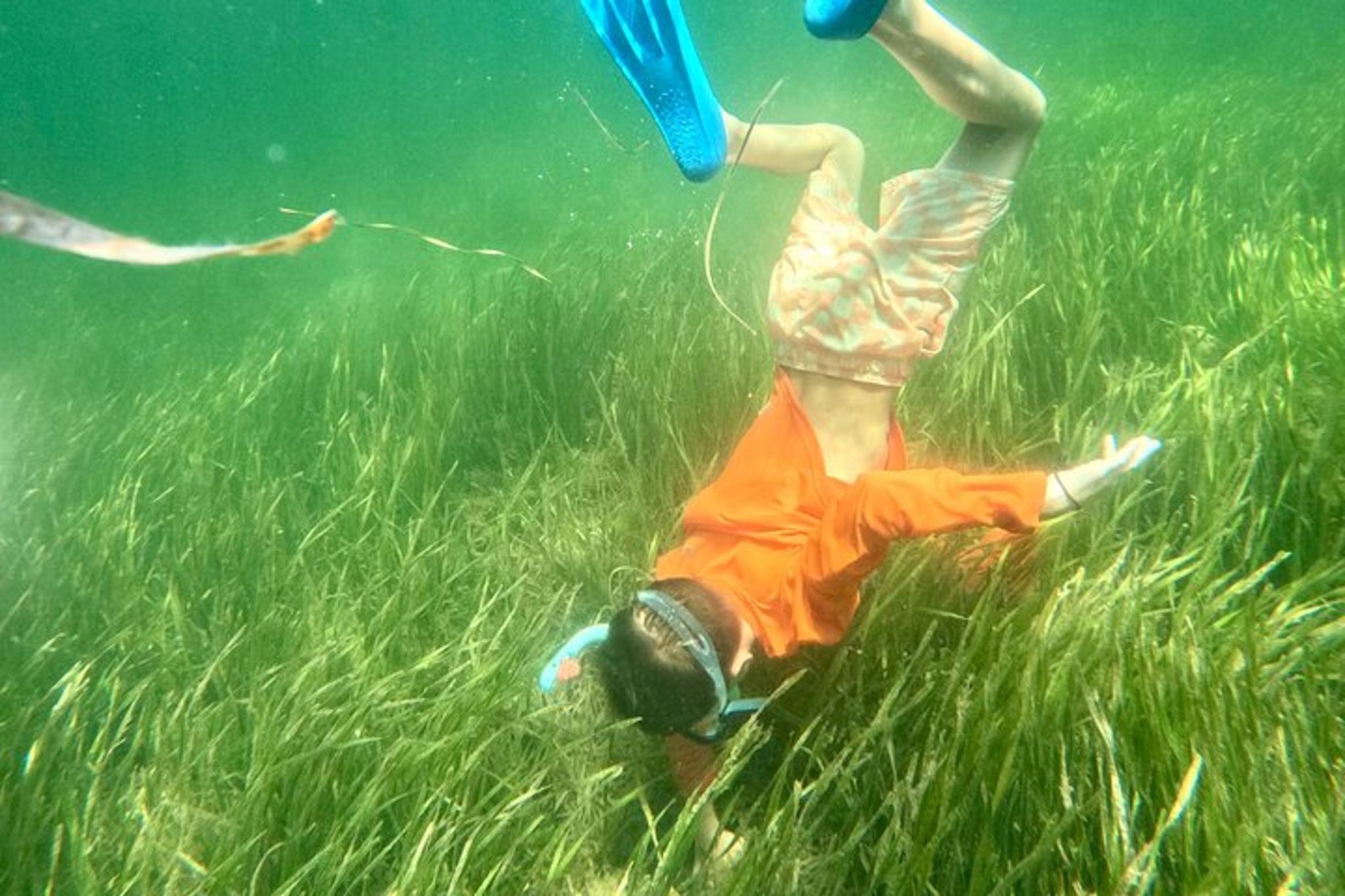 Florida Nature Coast Scalloping Adventure - Image 3