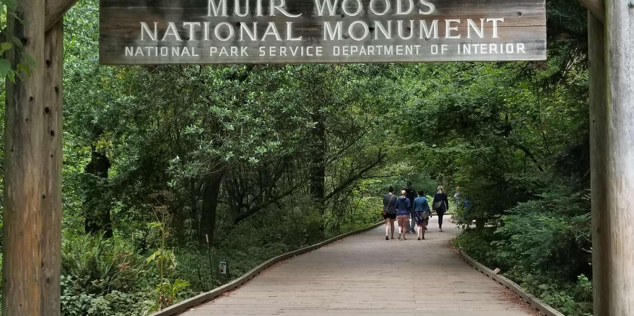 San Francisco Muir Woods and Marin Headlands Tour - Image 2