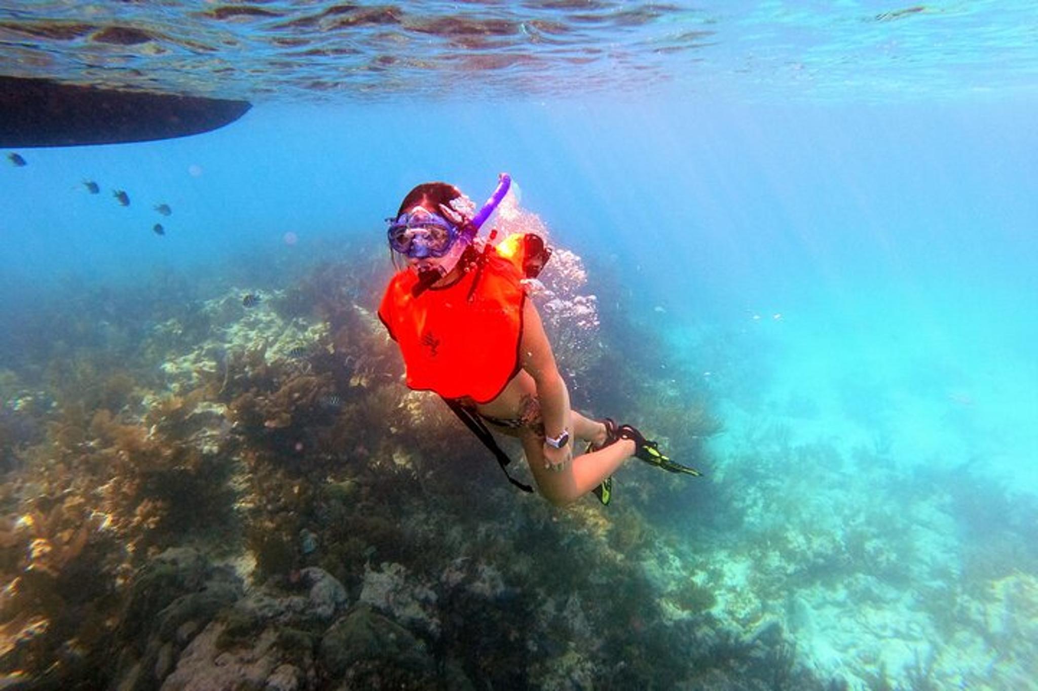 Key Largo Reef Snorkel Tour - Image 6
