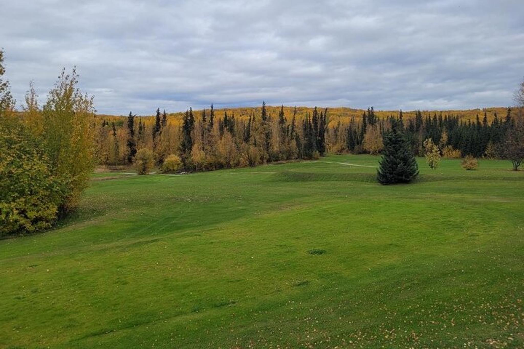 Fairbanks Golf Experience at Midnight Sun Golf Course - Image 3