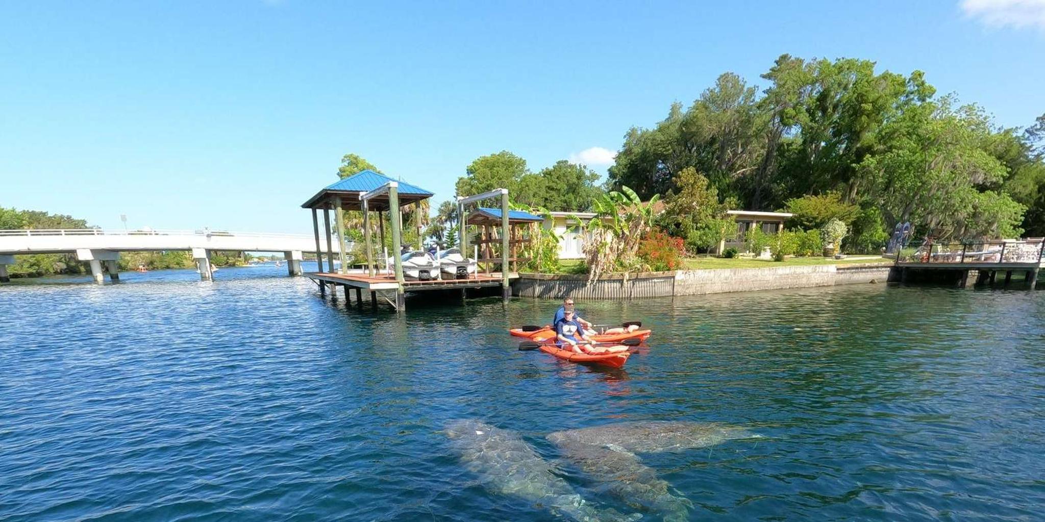 Crystal River Kayak Rental - Image 6