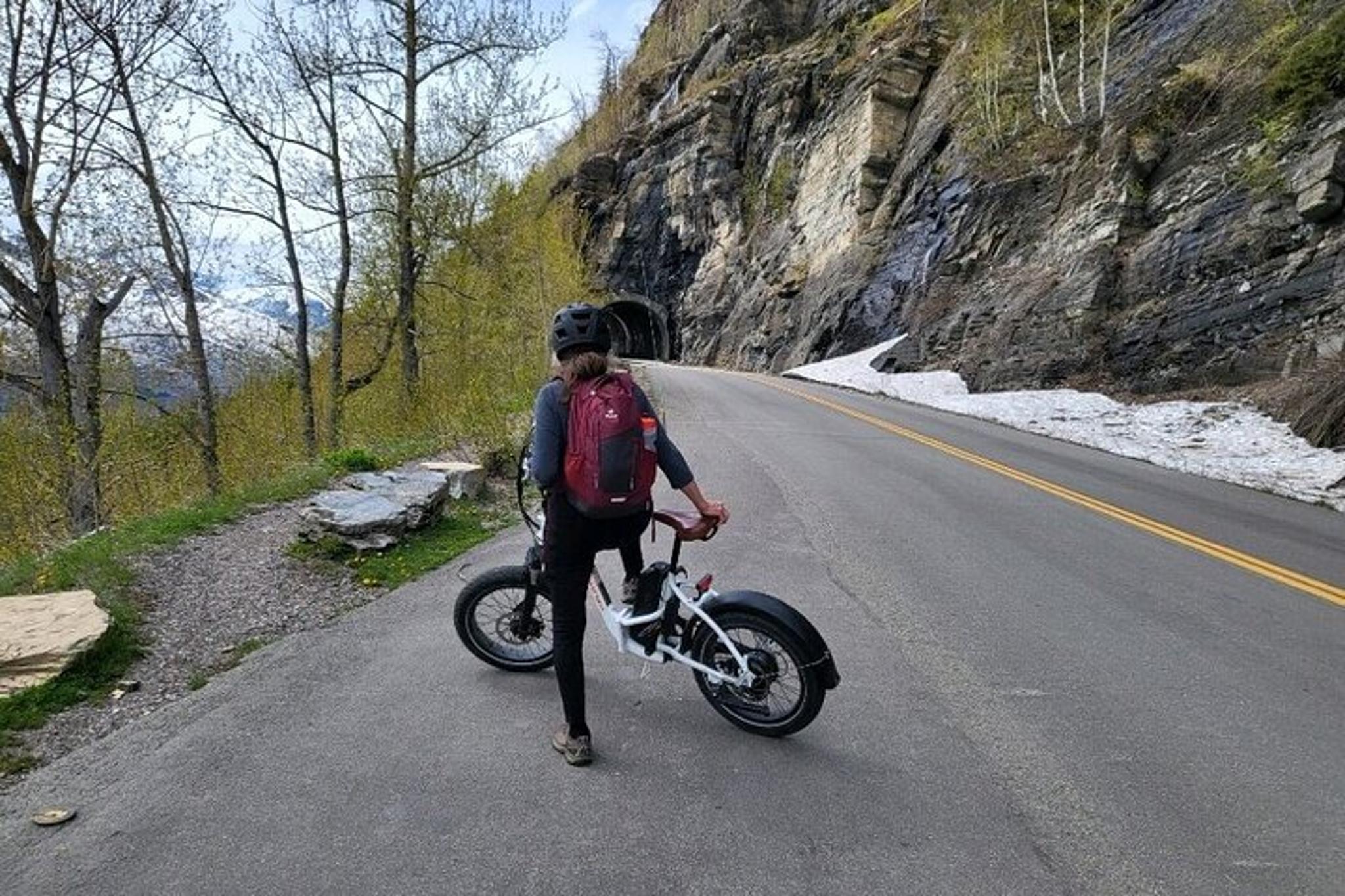 Whitefish E-Bike Shuttle to Going-to-the-Sun Road - Image 5