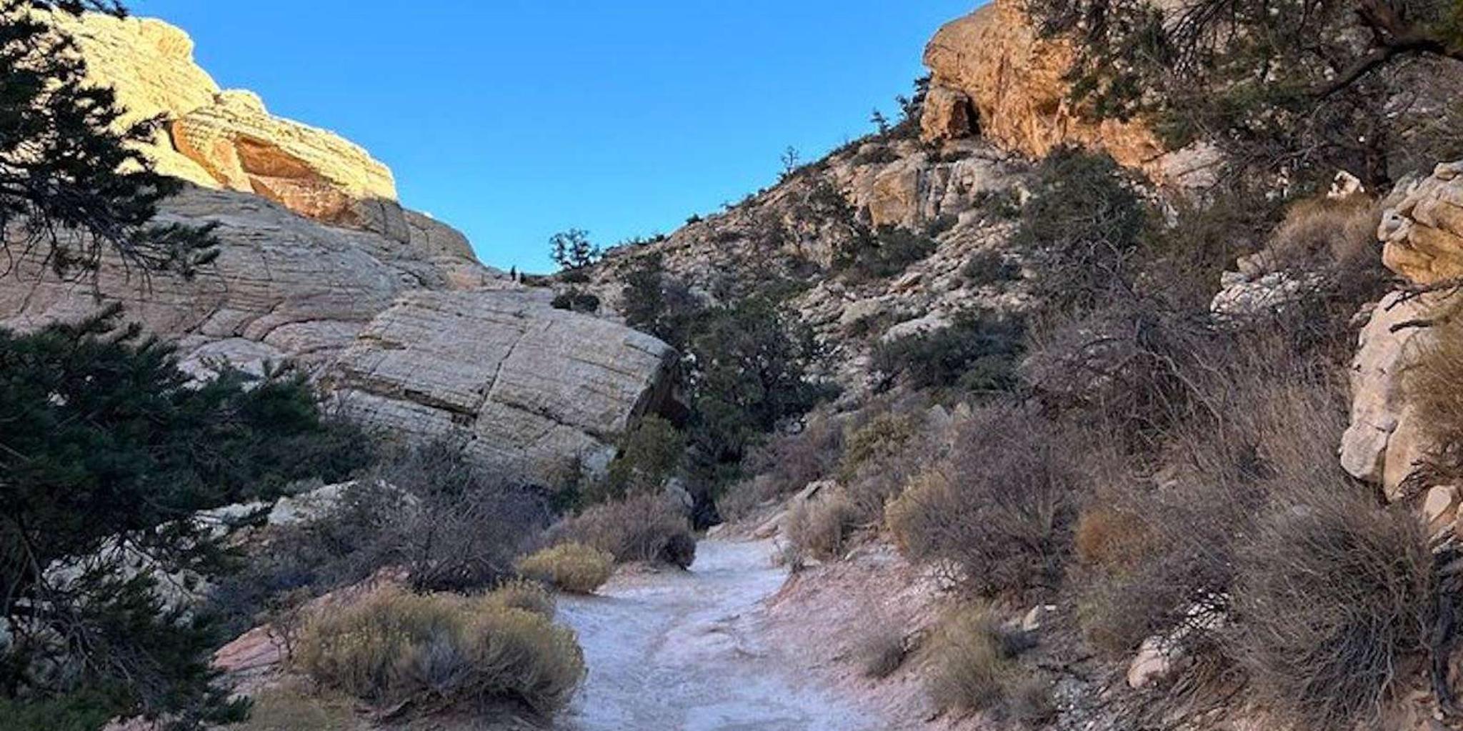 Las Vegas Red Rock Canyon Guided Hike - Image 3